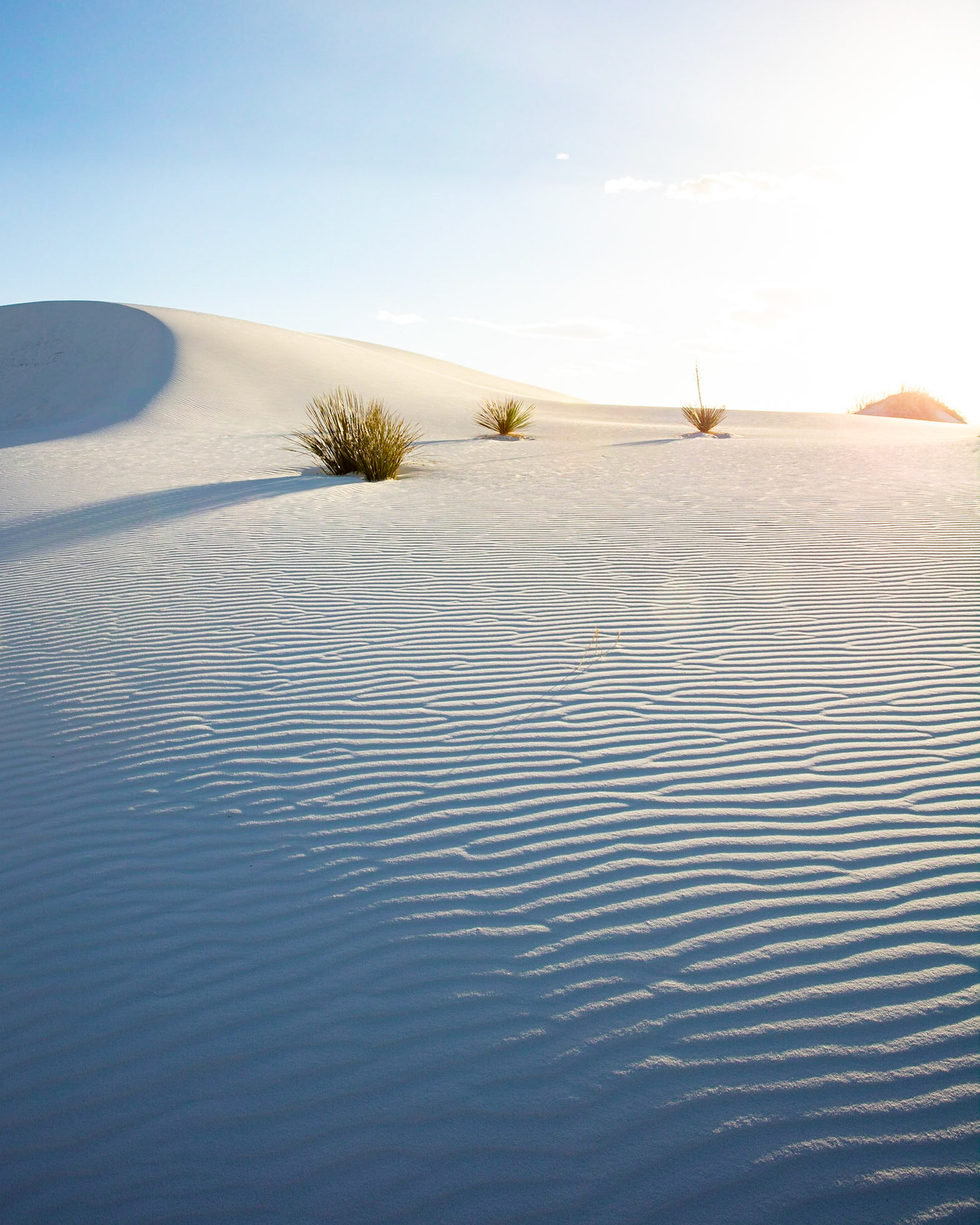 White Sands NP, NM