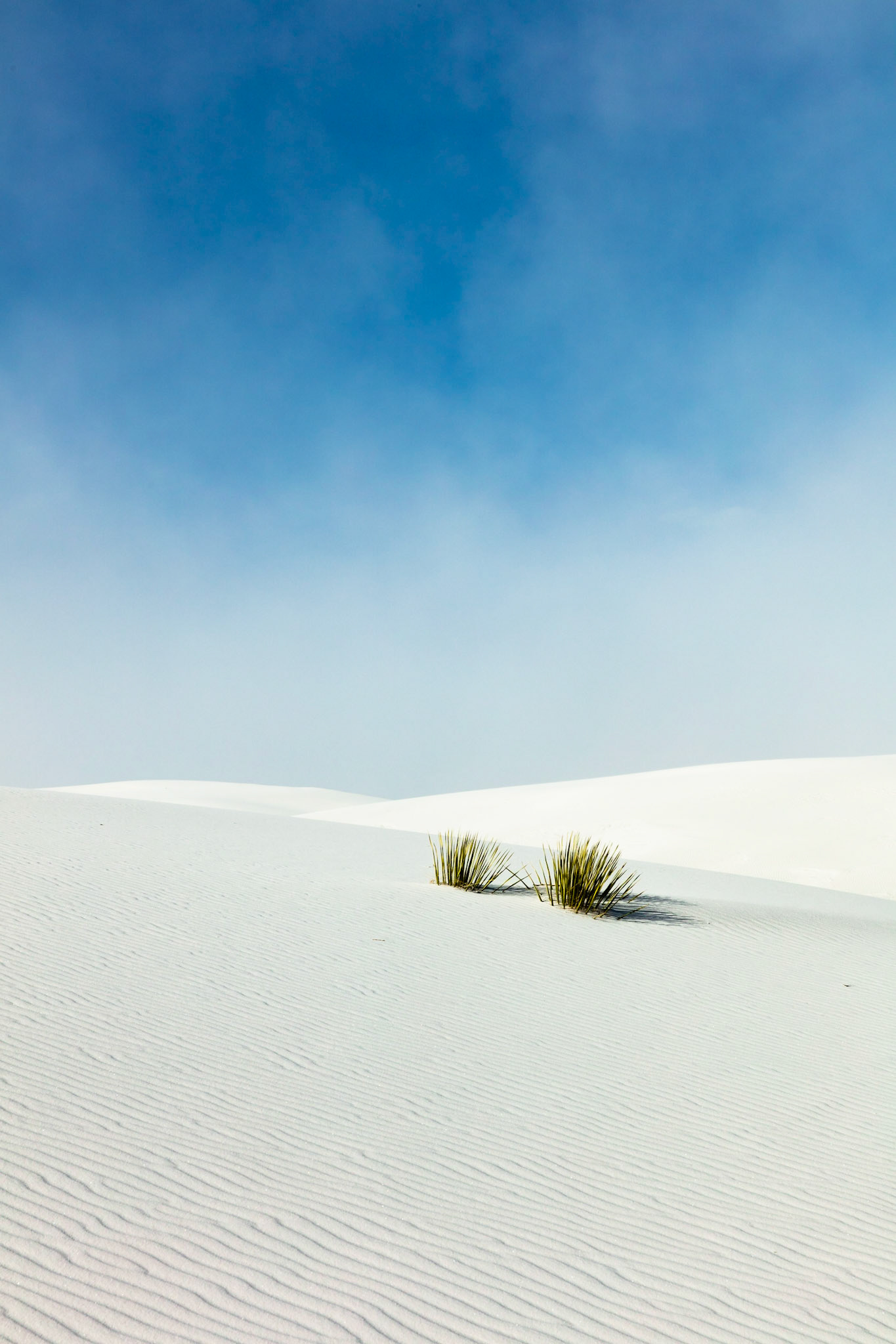 White Sands NP, NM