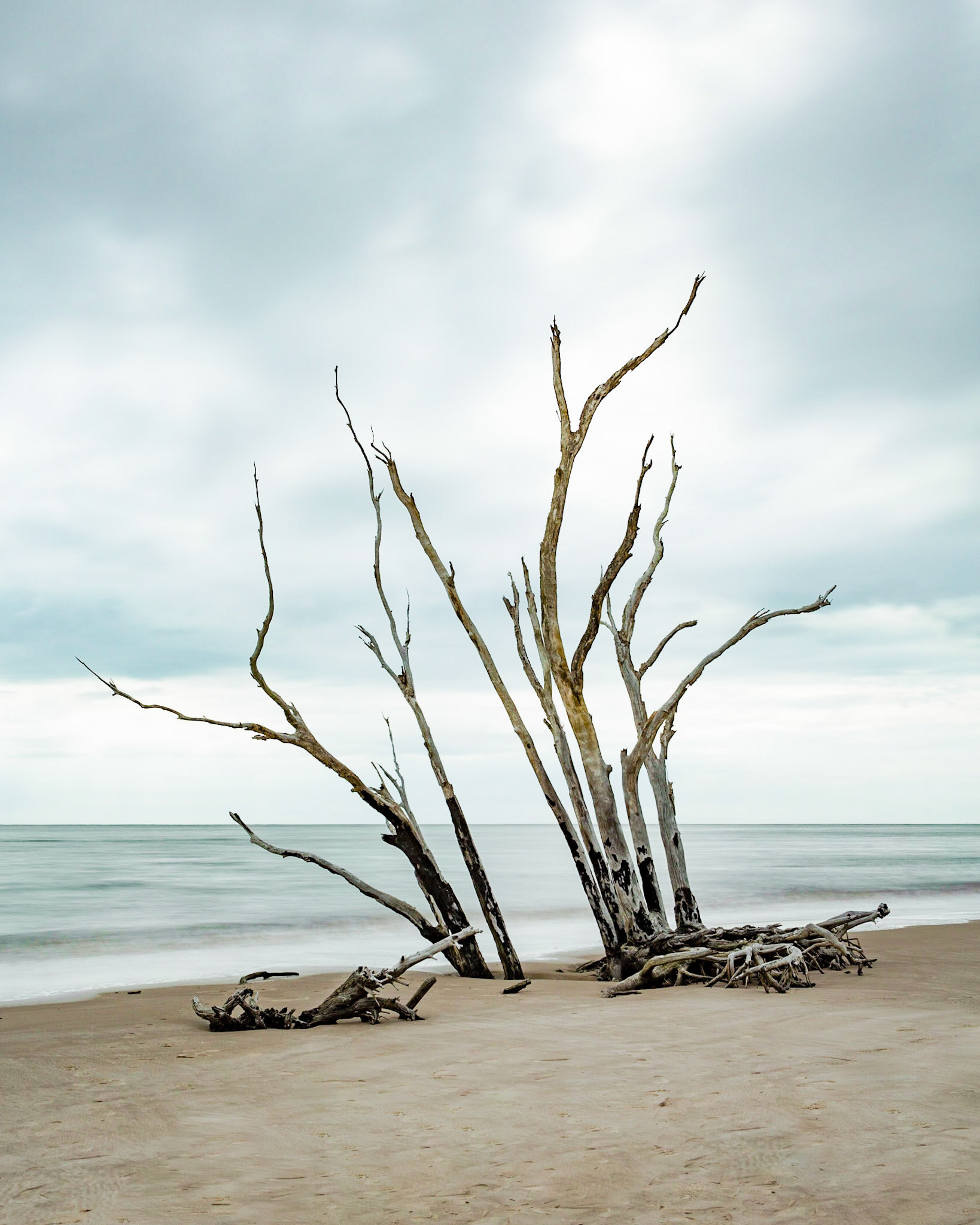 Little Talbot Island, FL
