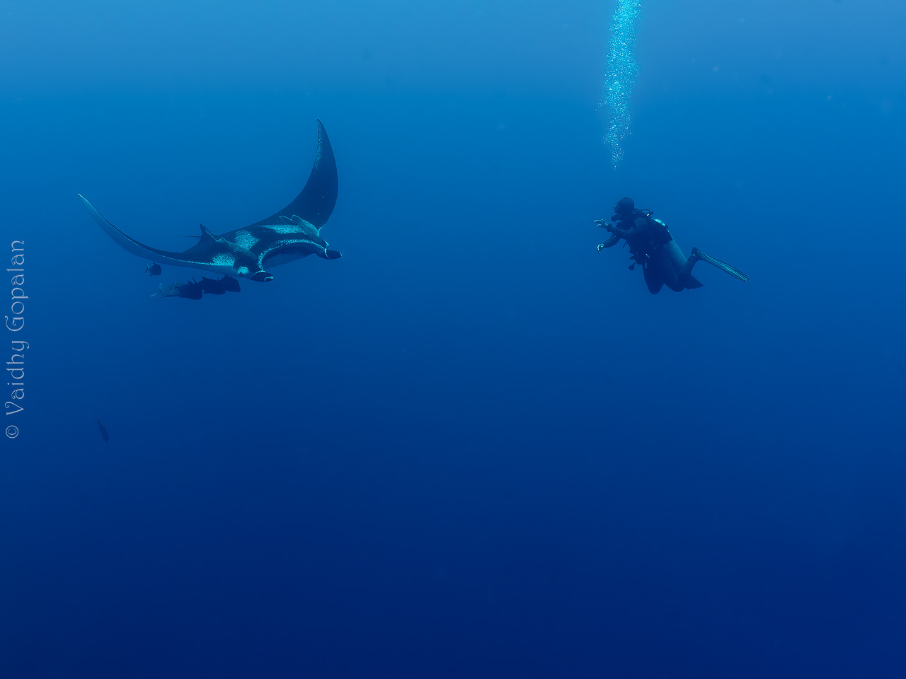 Flying in