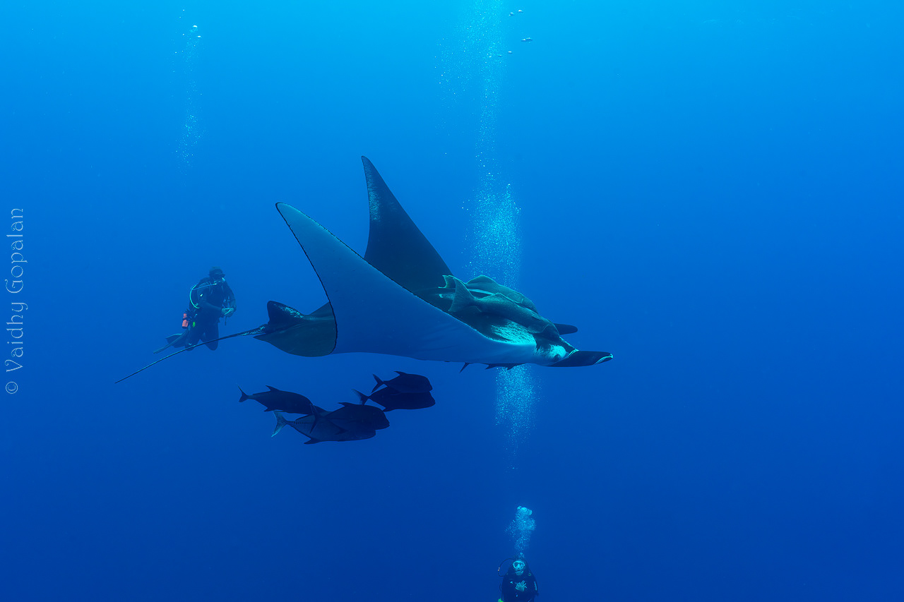 Watching a flyby