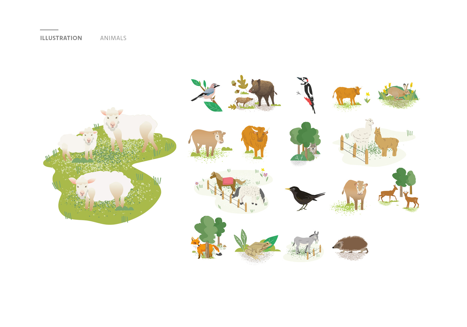 The illustrations show various animals: sheep, birds, wild boars, woodpeckers, hares, cows, wolves, horses, calves, deer, foxes, frogs, donkeys, and hedgehogs.