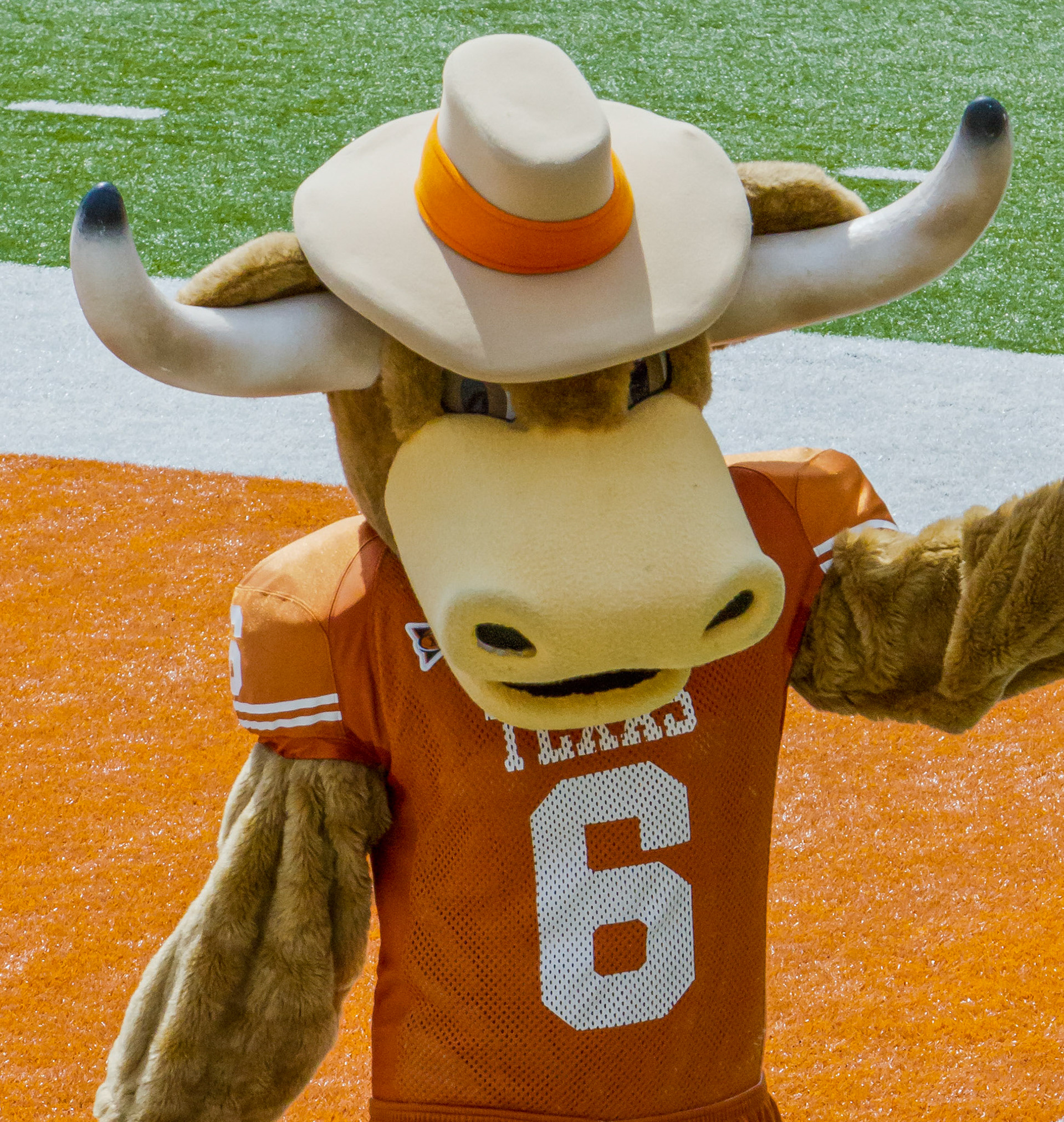Bevo