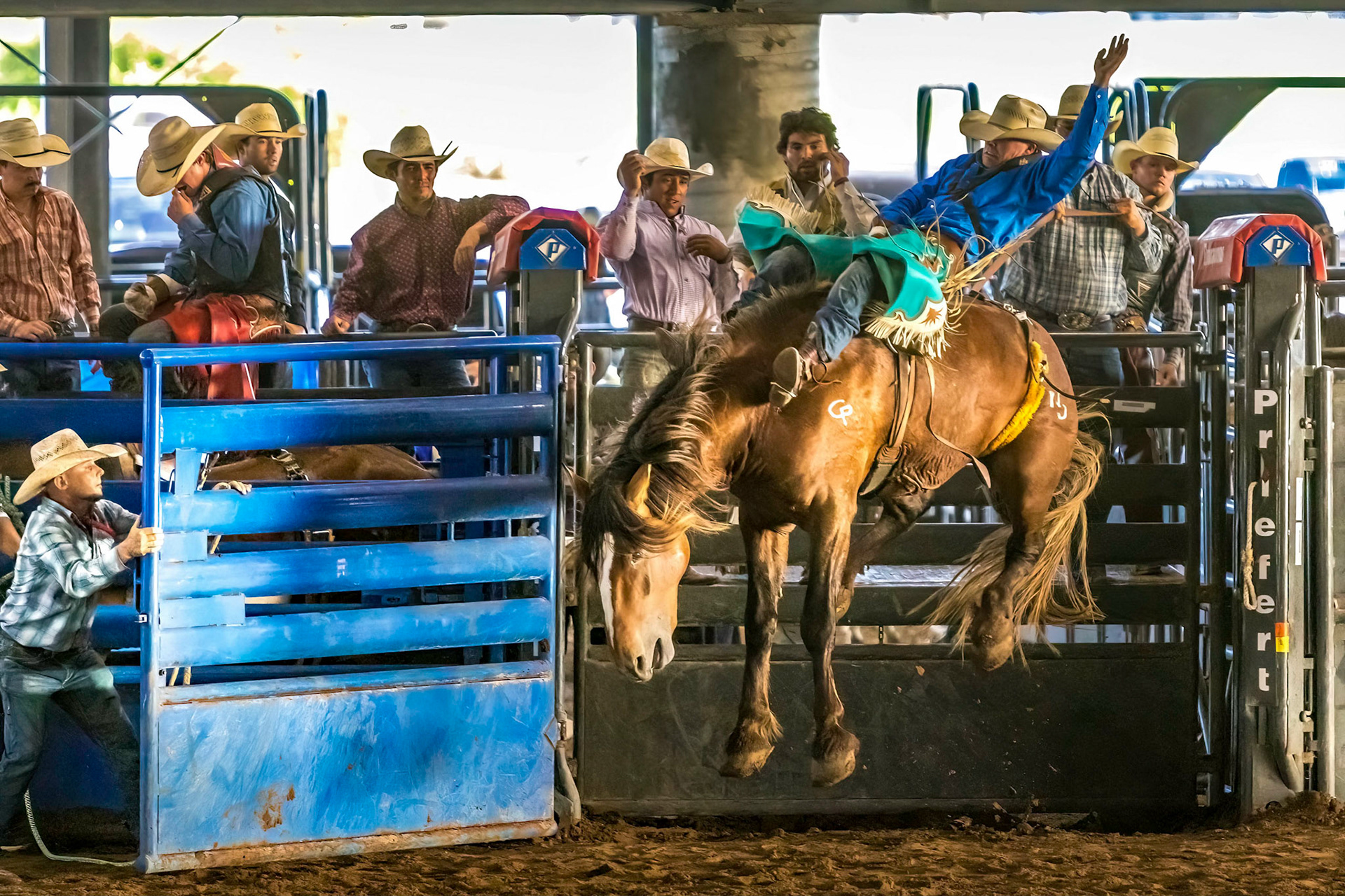 Rodeo Horseback Riding