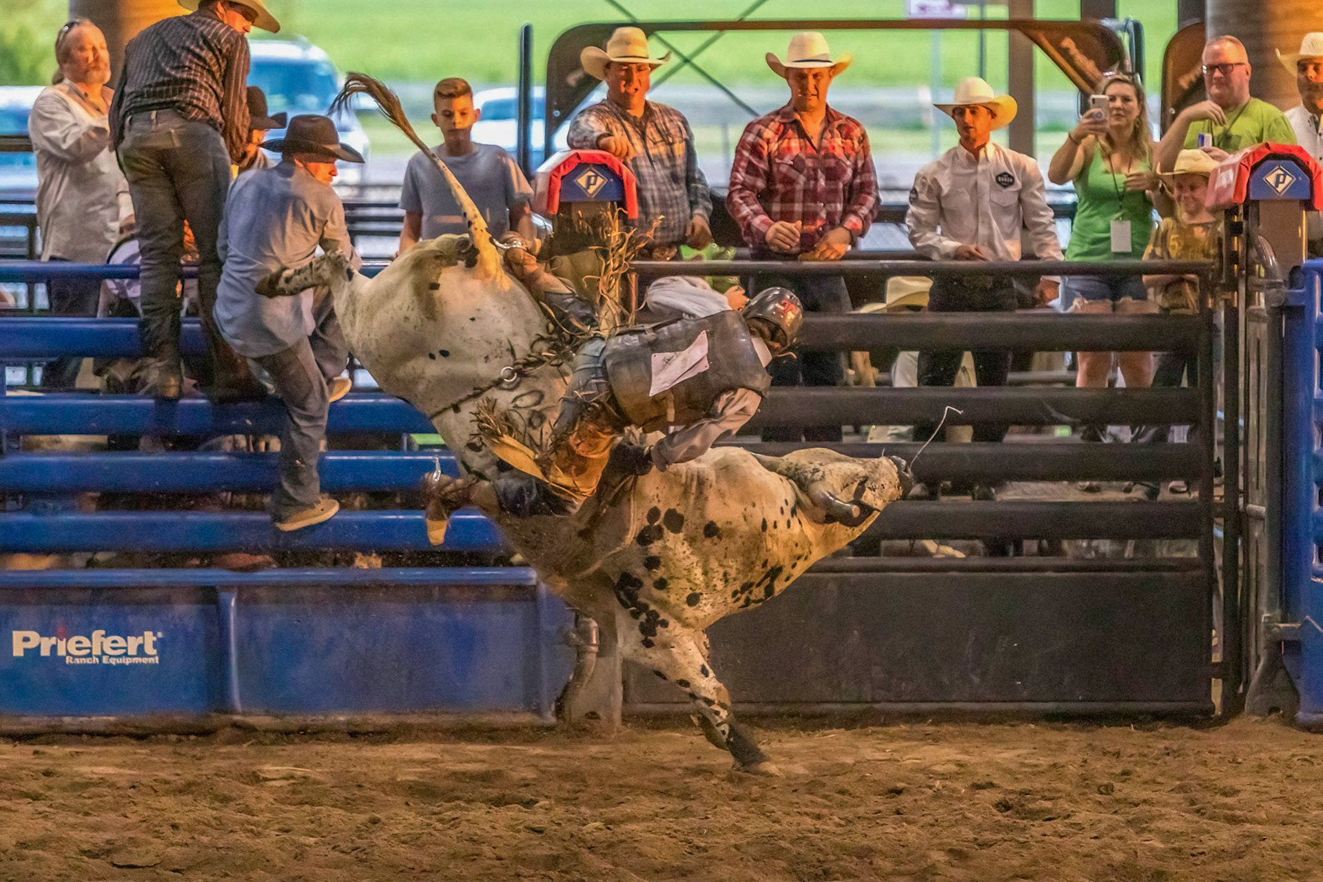 Rodeo Bull Riding