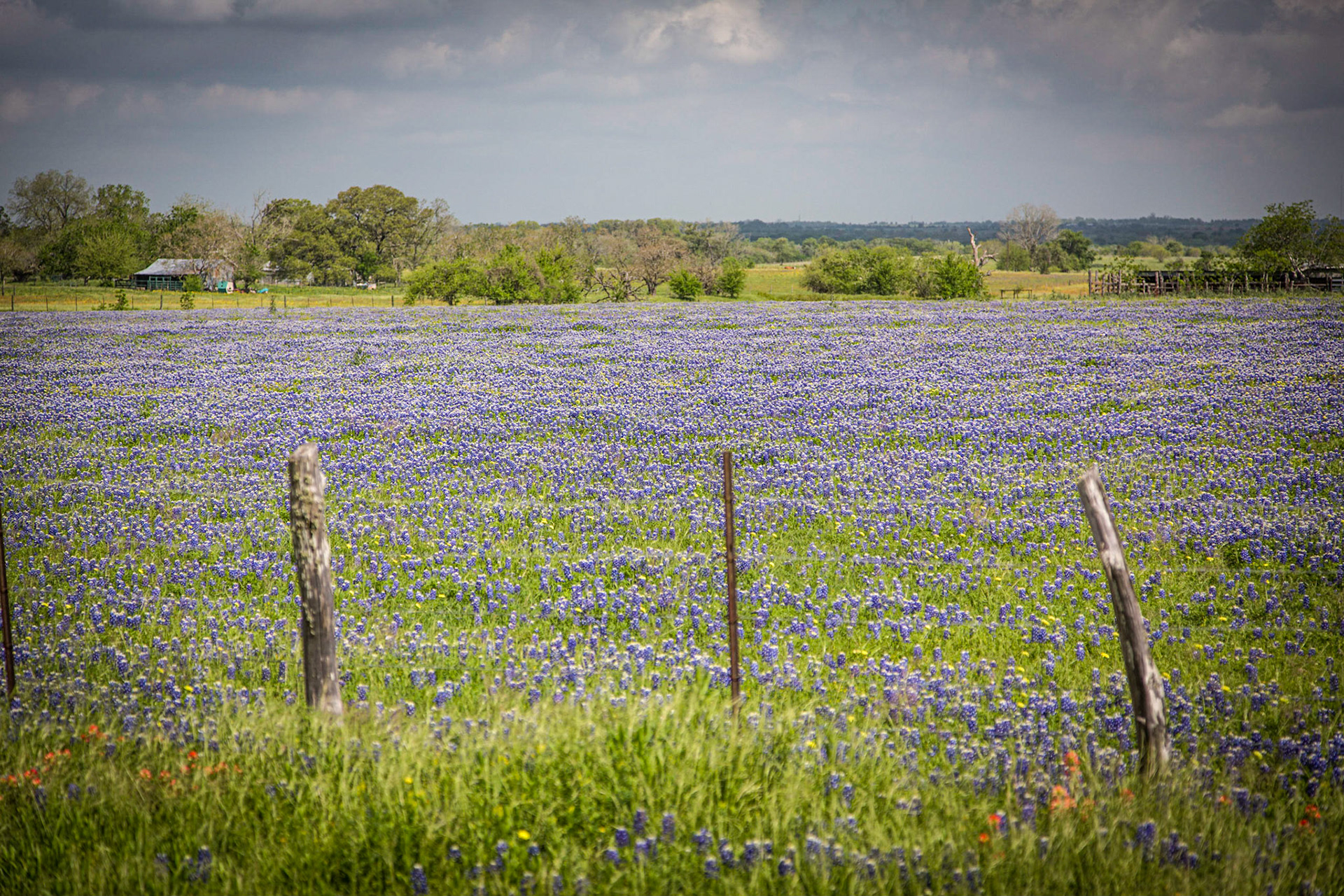Close to Fayetteville, Tx.