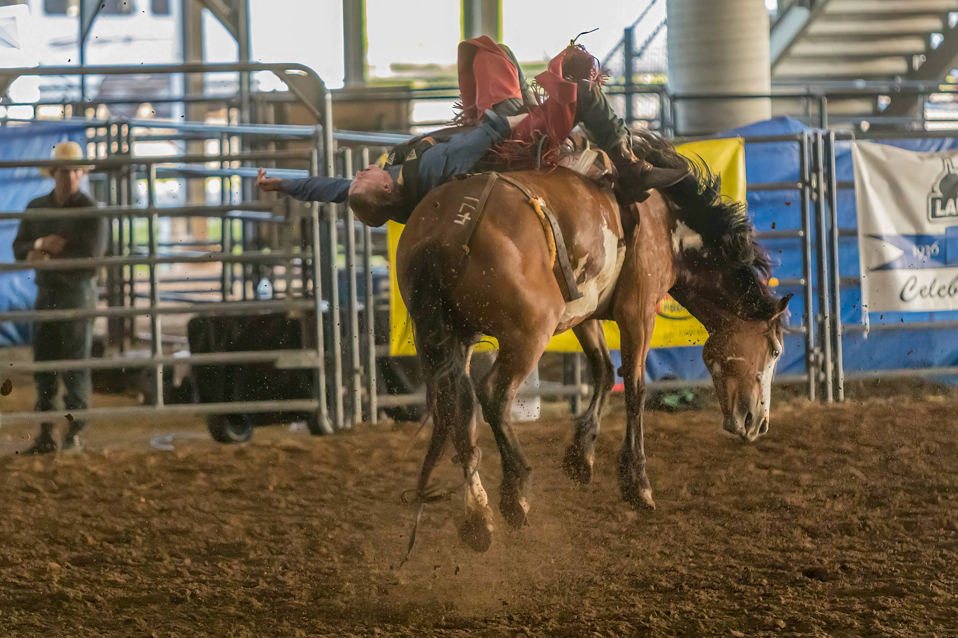 Rodeo Horseback Riding