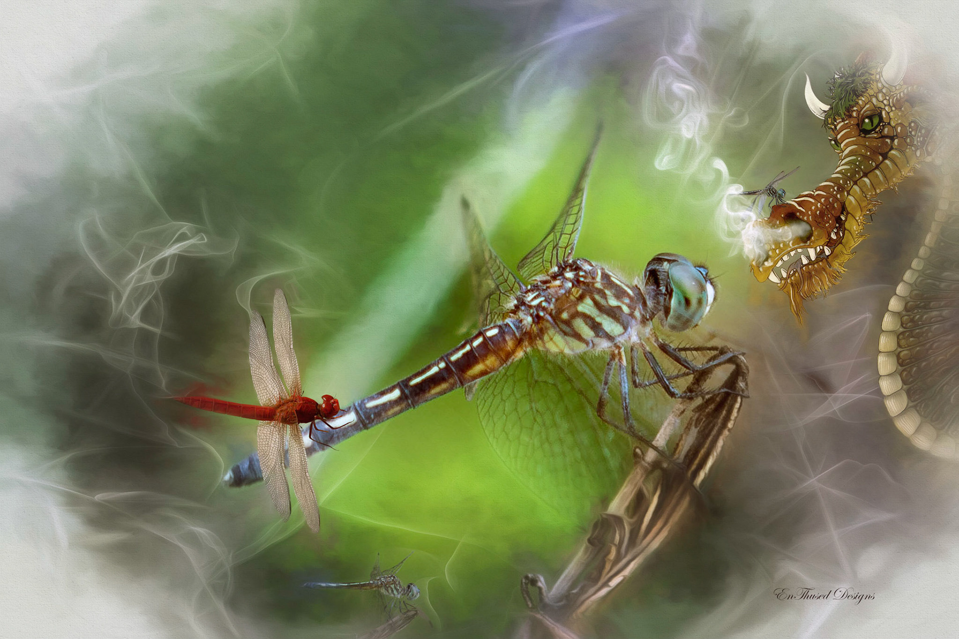 Dragons