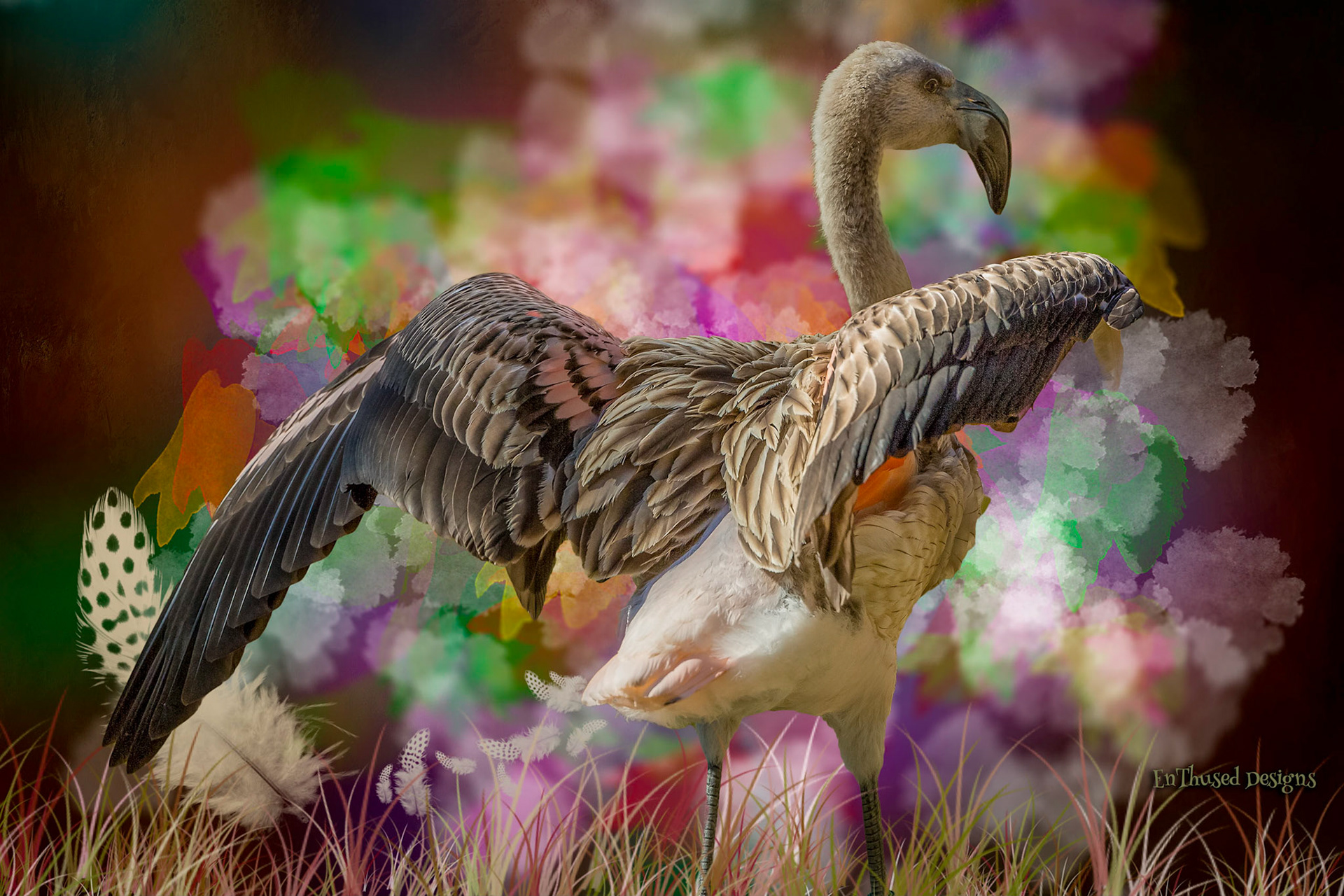 Bird in Alarm