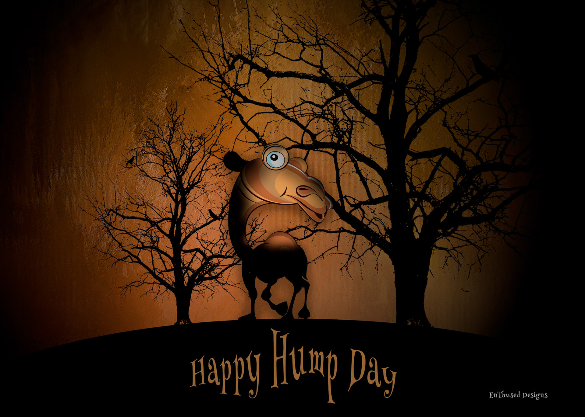 Hump Day