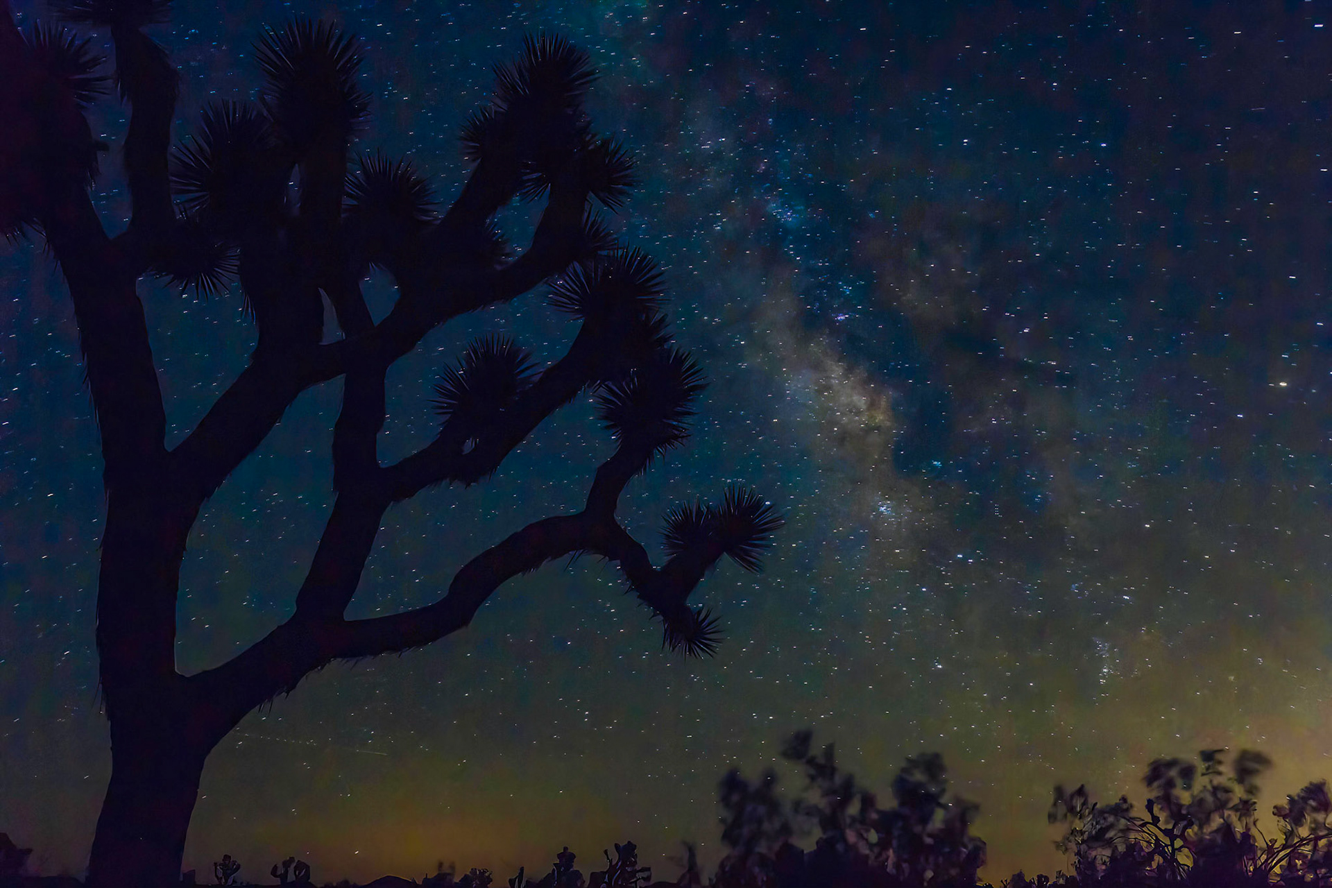 Joshua Tree National Park, California