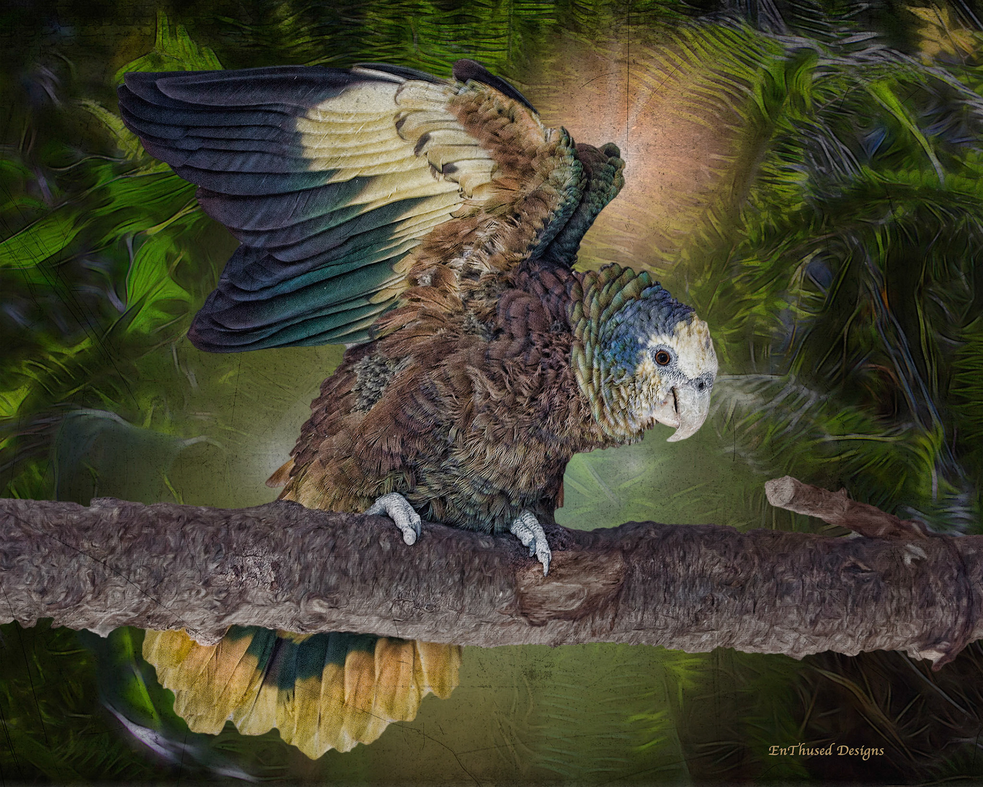 Owl on Branch