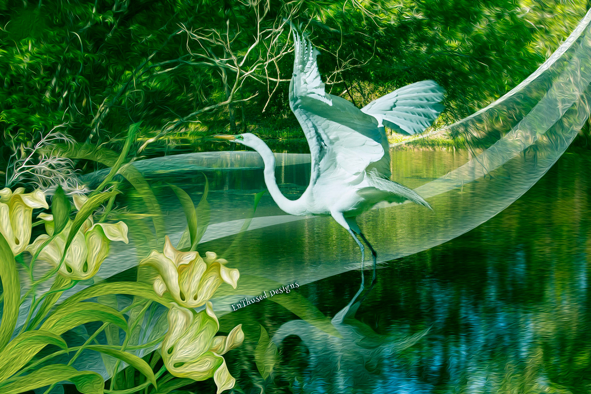 Bird in Flight