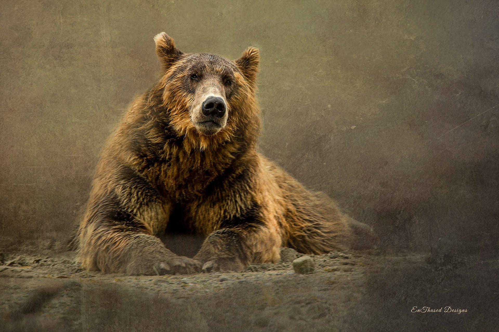 Bear Back