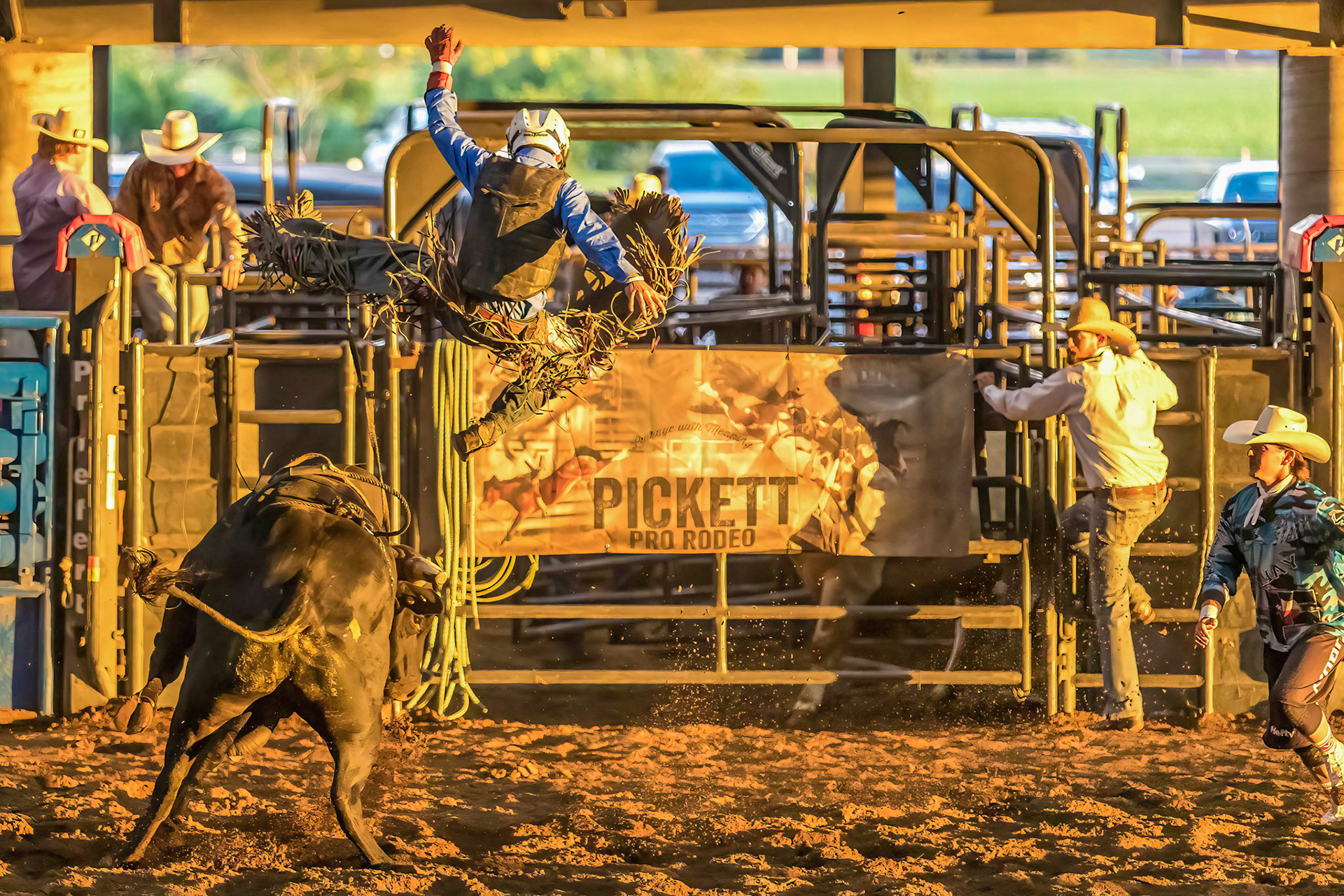 Rodeo Bull Riding