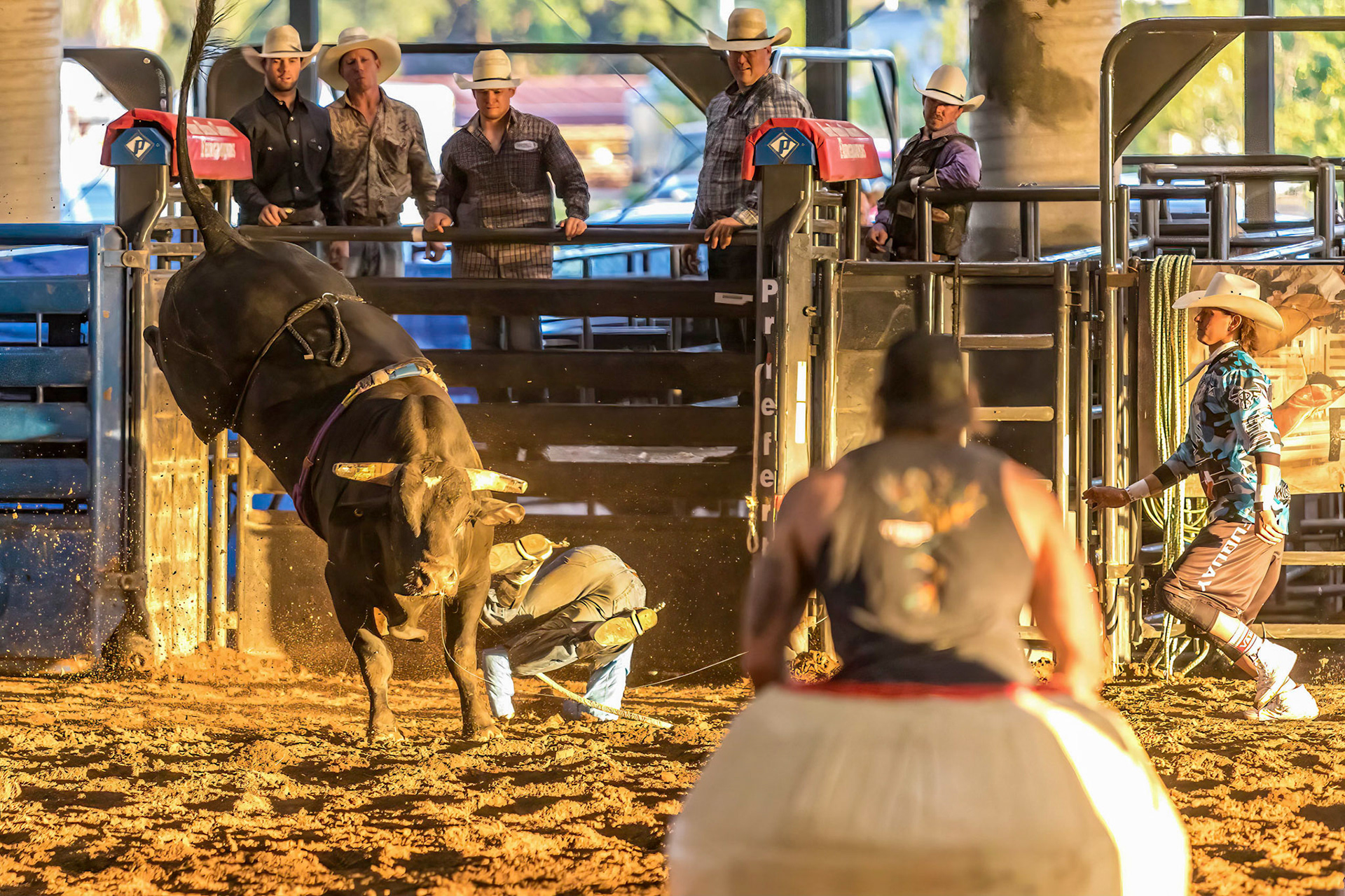 Rodeo Bull Riding