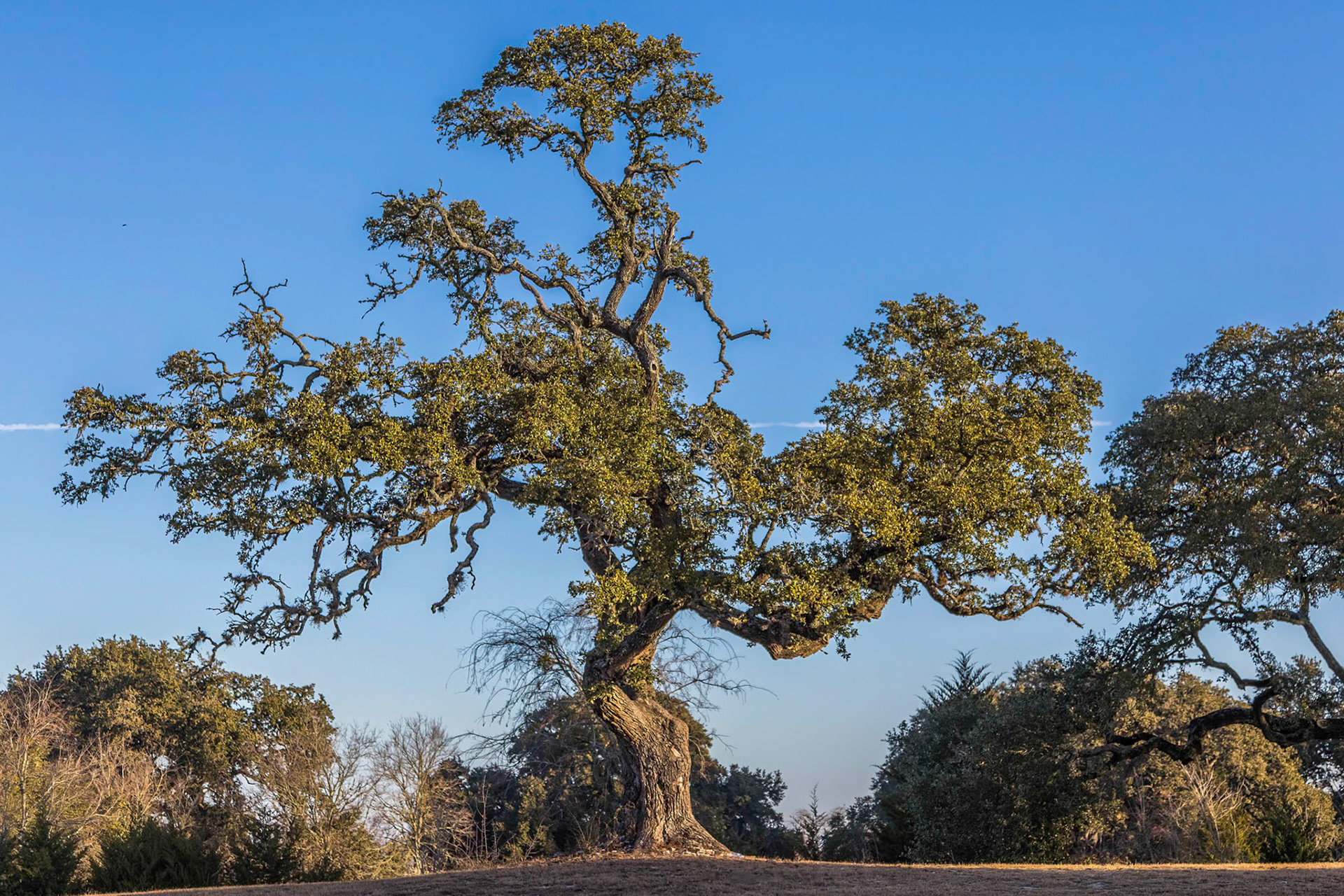 Near Independence, Texas