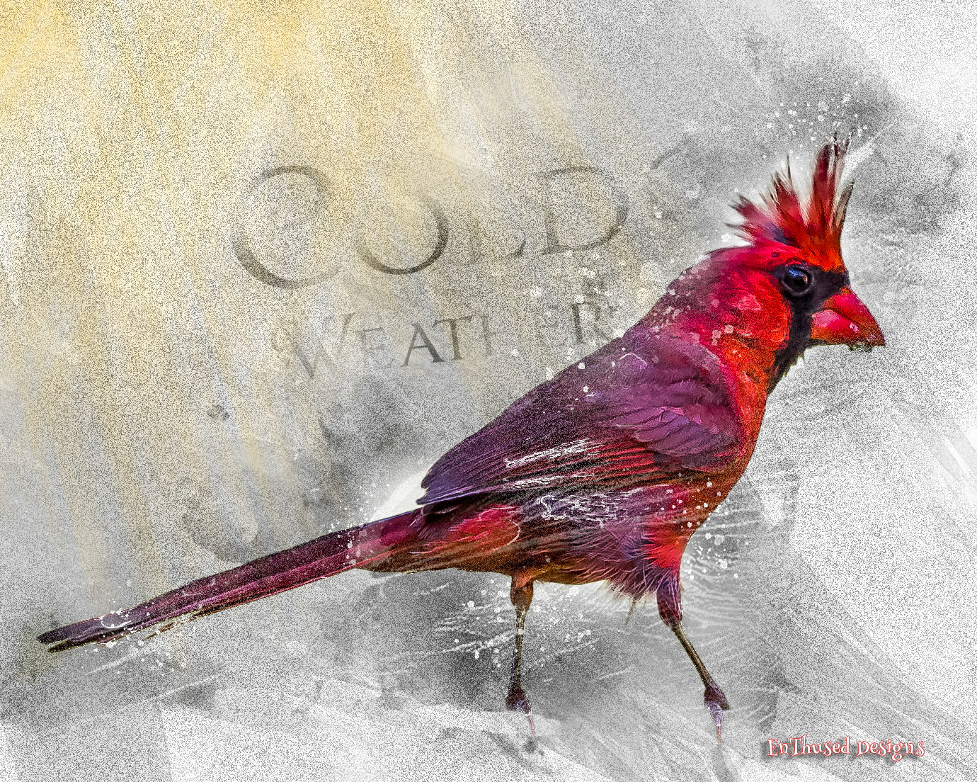 Red Bird