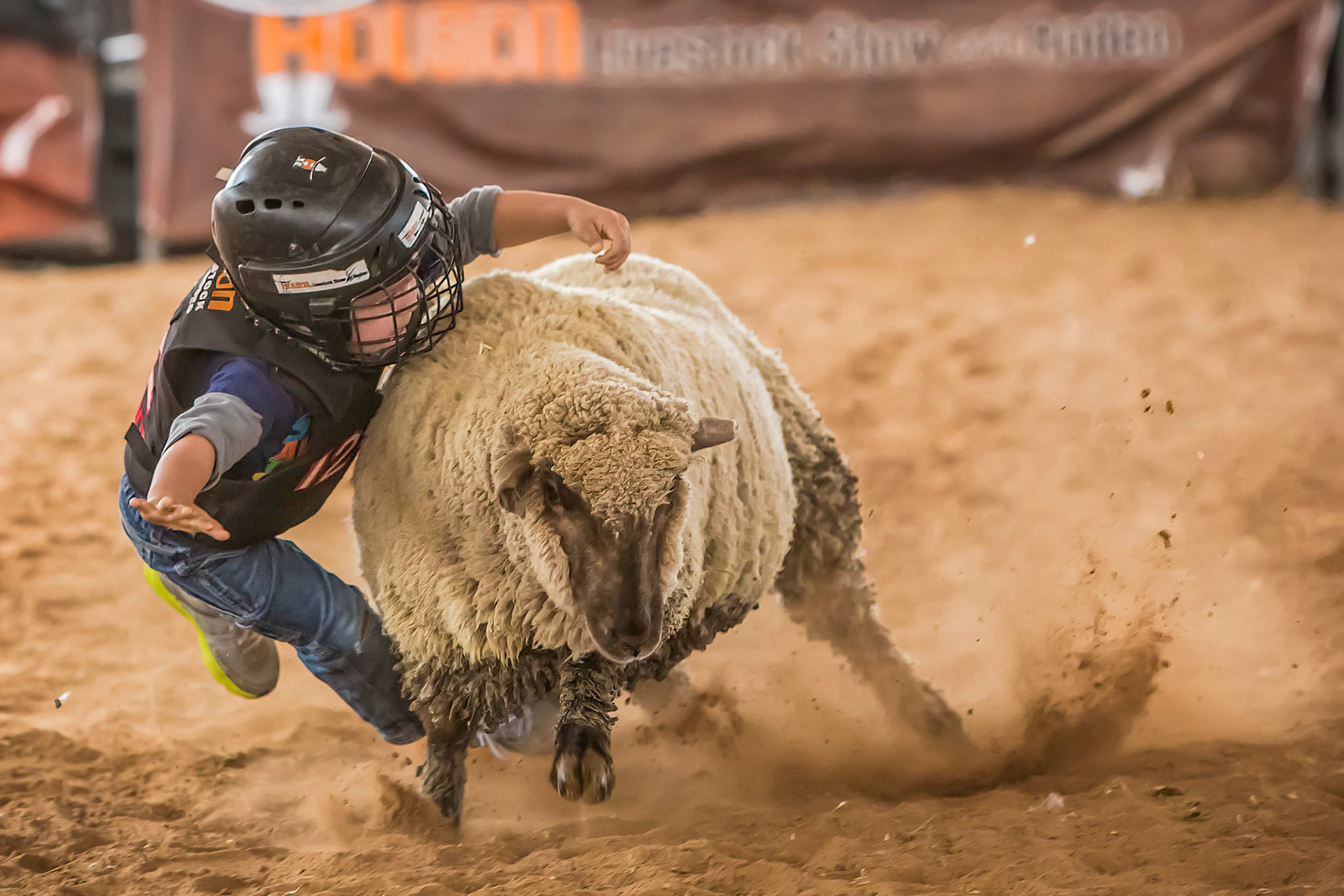Rodeo Mutton Bustin