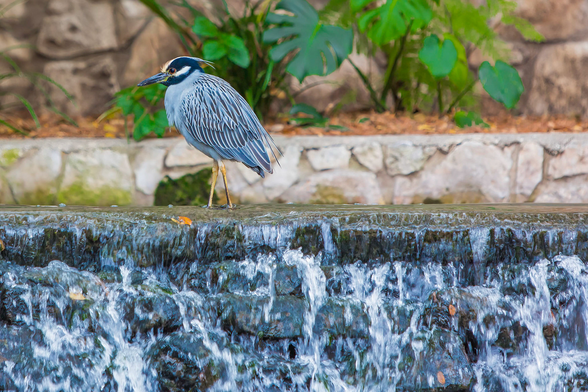 San Antonio Riverwalk