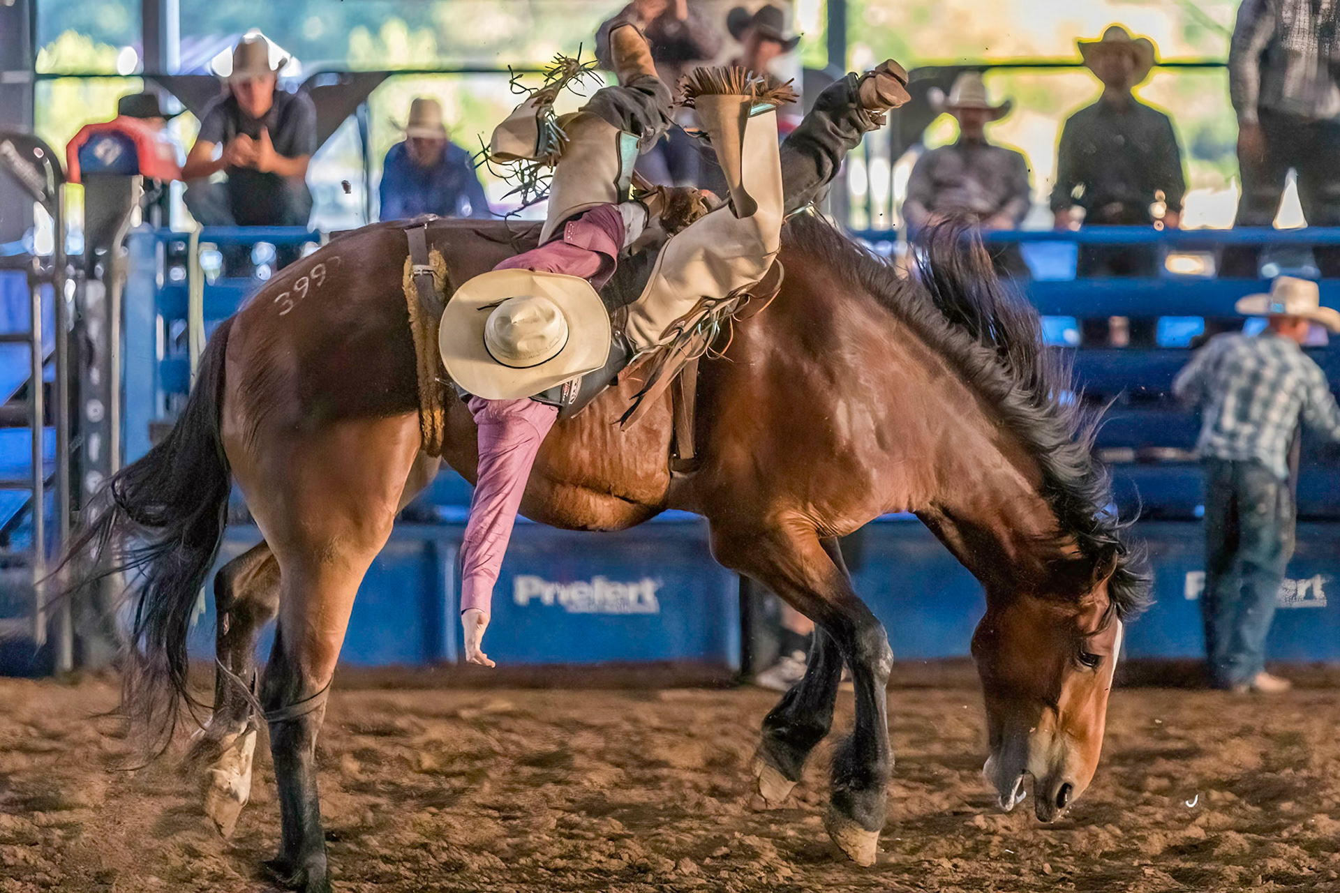 Rodeo Horseback Riding