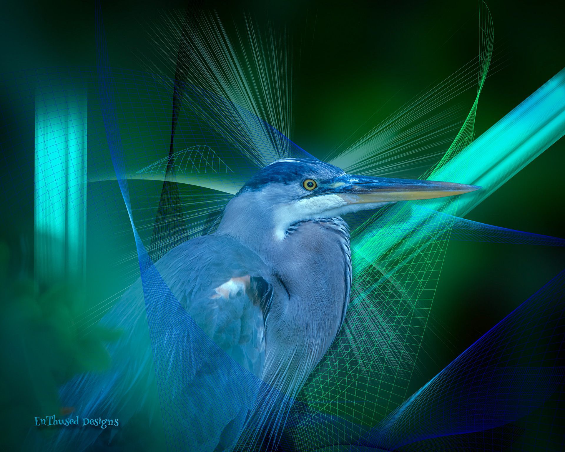 Blue Bird
