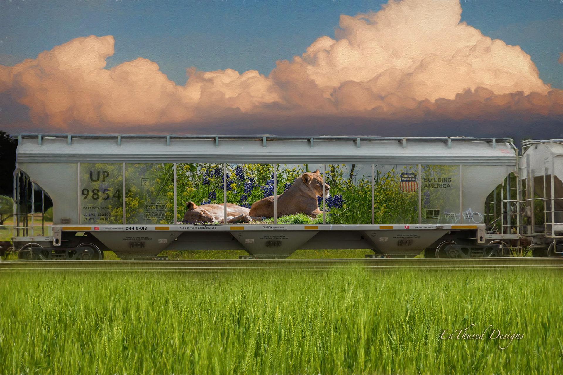King of the Rails