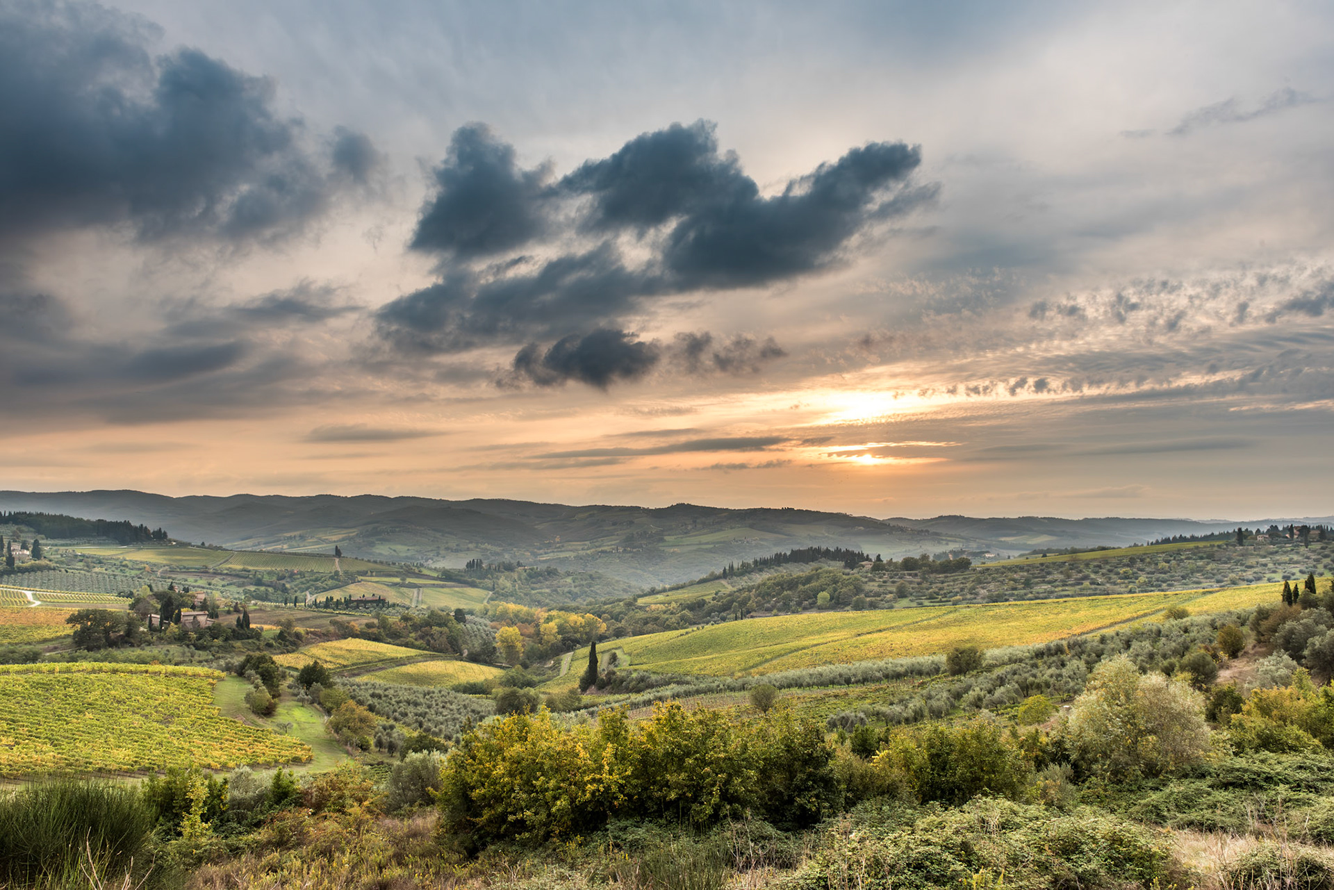 Tenuta di San Giusto in Salcio, Radda, Chianti