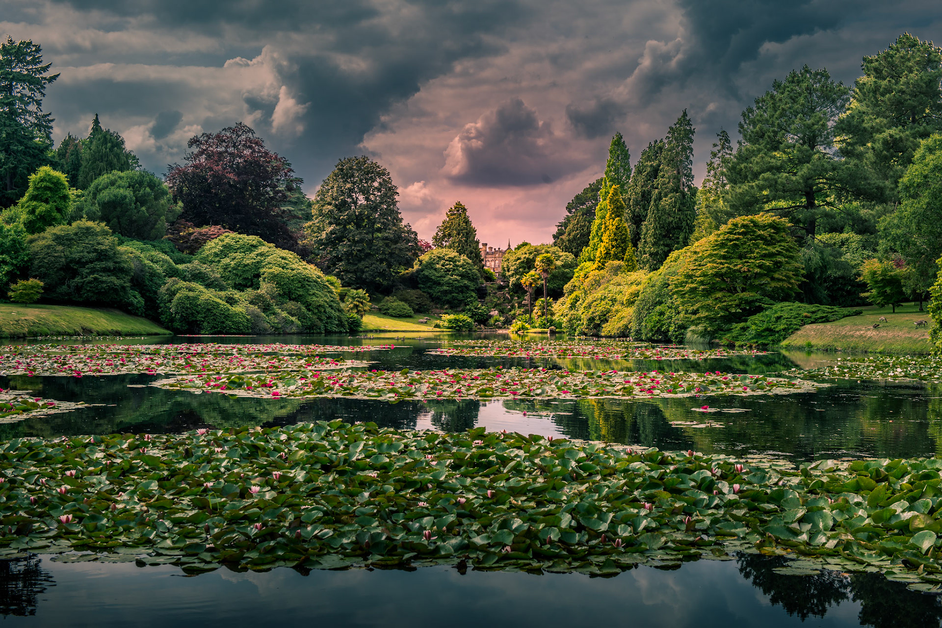 Ten Foot Pond, Sheffield Park, Uckfield, Sussex, United Kingdom