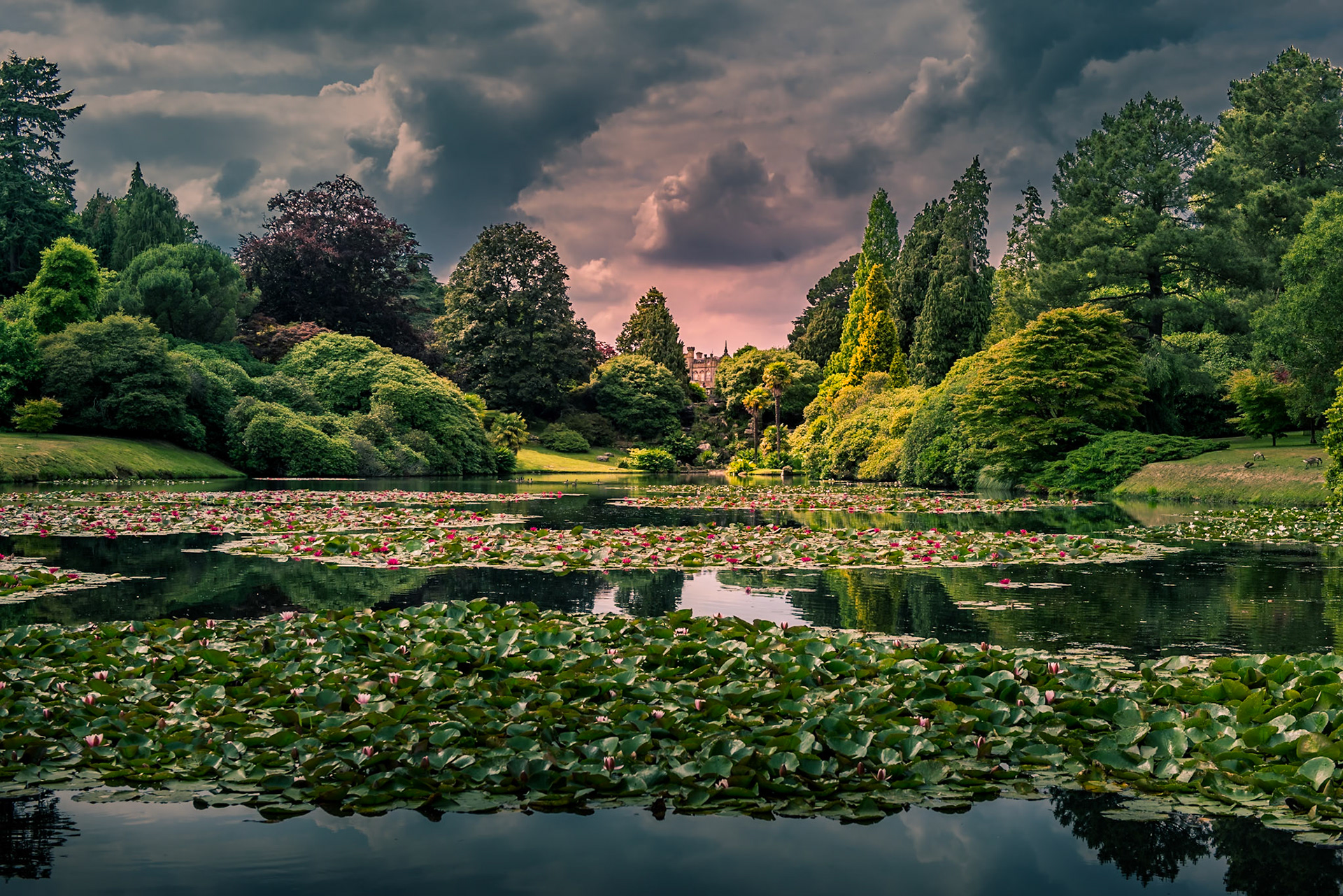 Ten Foot Pond, Sheffield Park, Uckfield, Sussex, United Kingdom