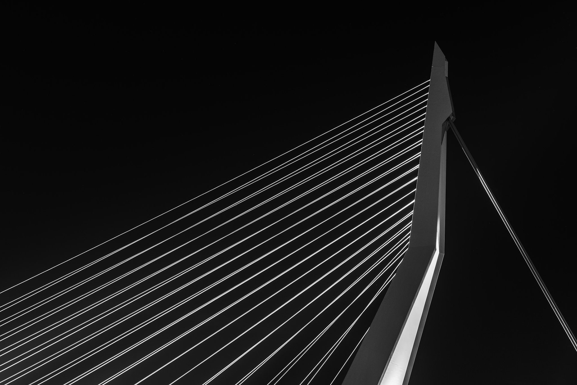 Erasmus Bridge ("The Swan"), Rotterdam, The Netherlands