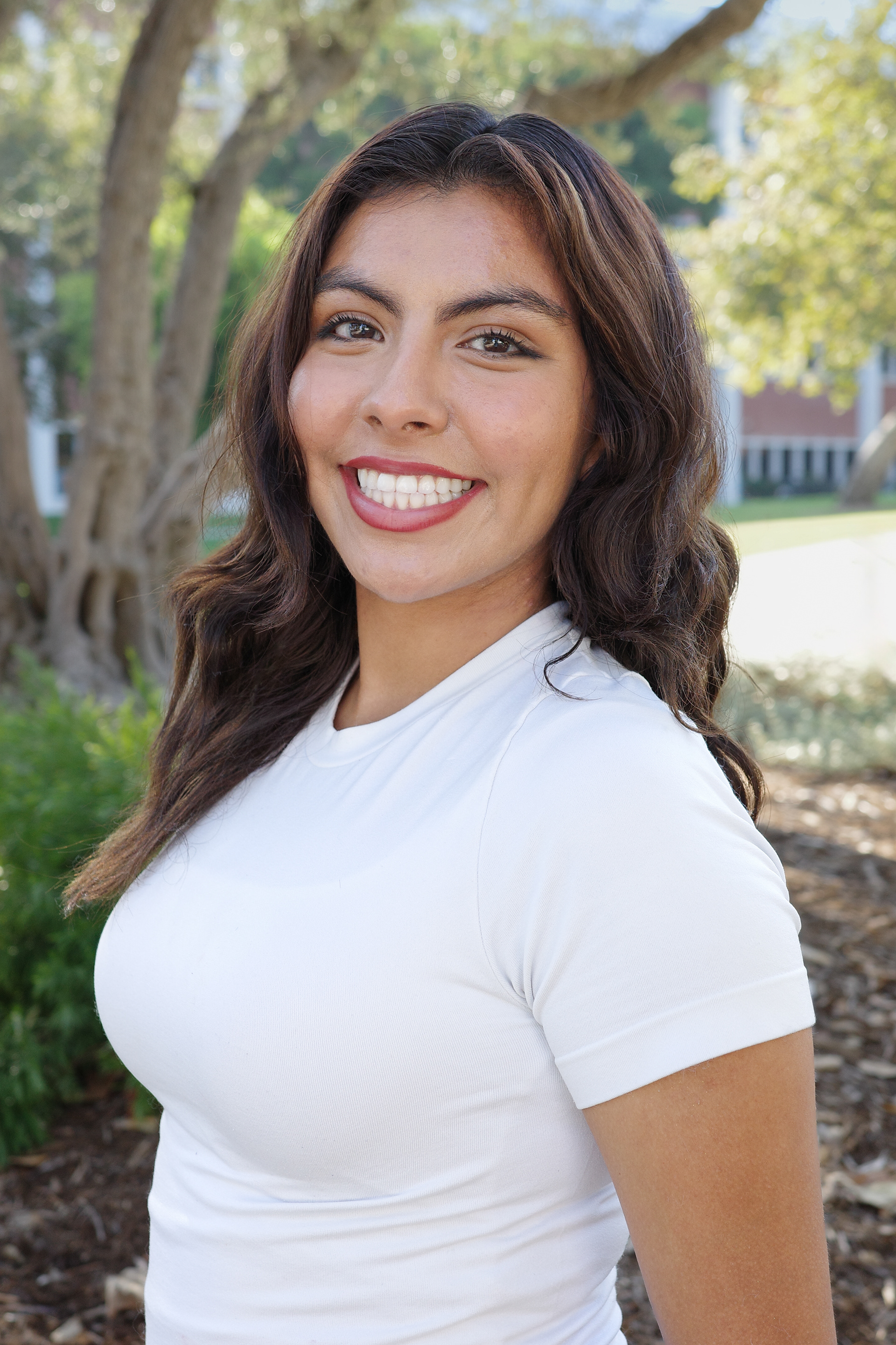 Xiomary, October 2024