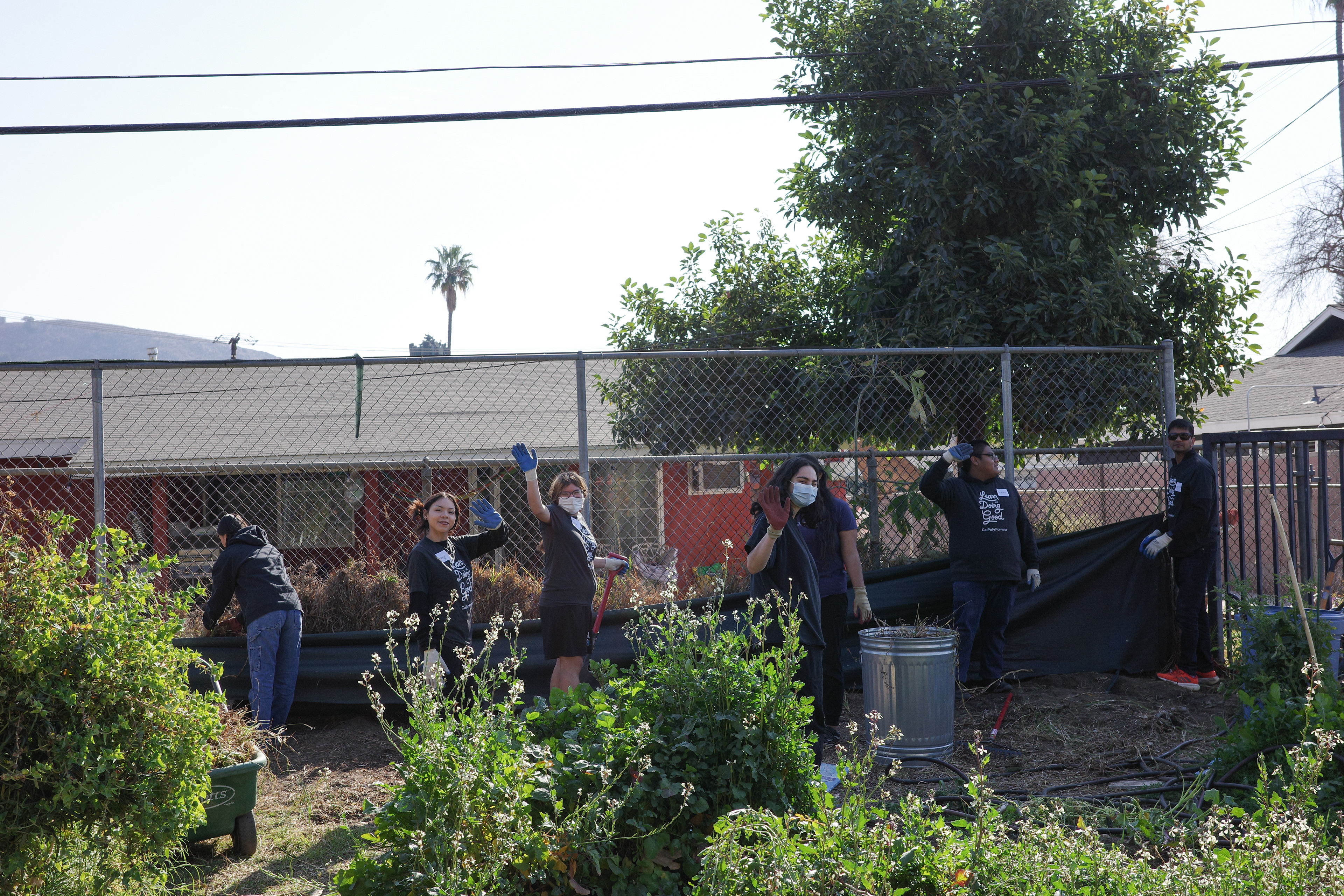 MLK Jr Day of Service, January 2025