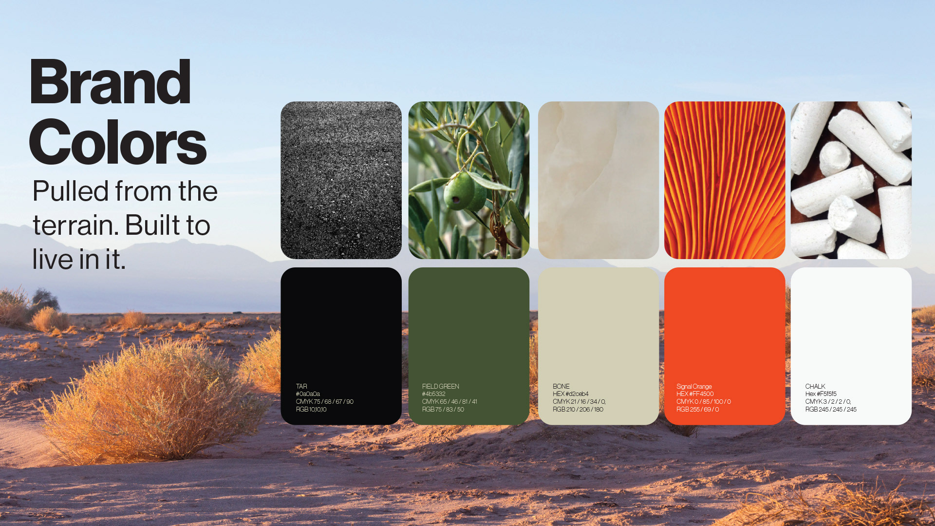 Brand Colors swatches (terrain-inspired palette)  KEPT brand color palette pulled from desert terrain — charcoal, olive green, bone, signal orange, and off-white swatches shown against a desert landscape photo