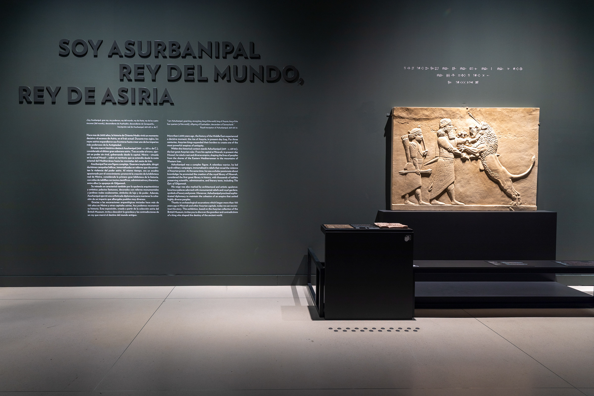 Entrance wall of "Soy Asurbanipal" at CaixaForum Madrid, with introductory text and a lion-hunt relief from the North Palace of Nineveh, c. 645–635 BC.