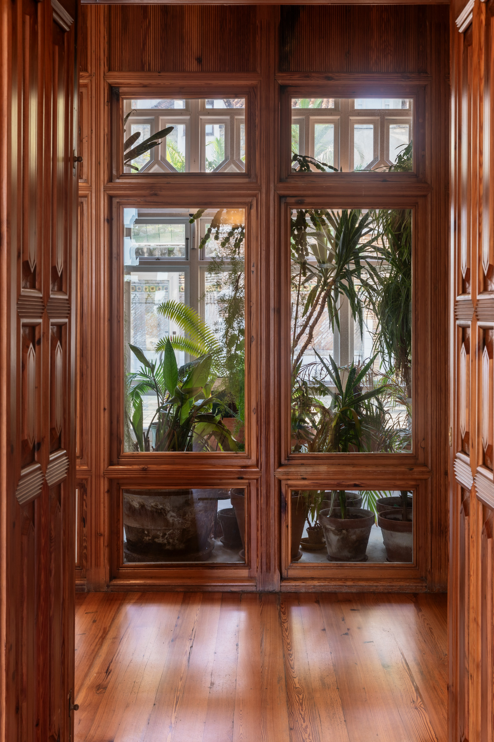 Timber doors and glazed partitions divide the corridor from the greenhouse, carrying light through to the inner rooms.