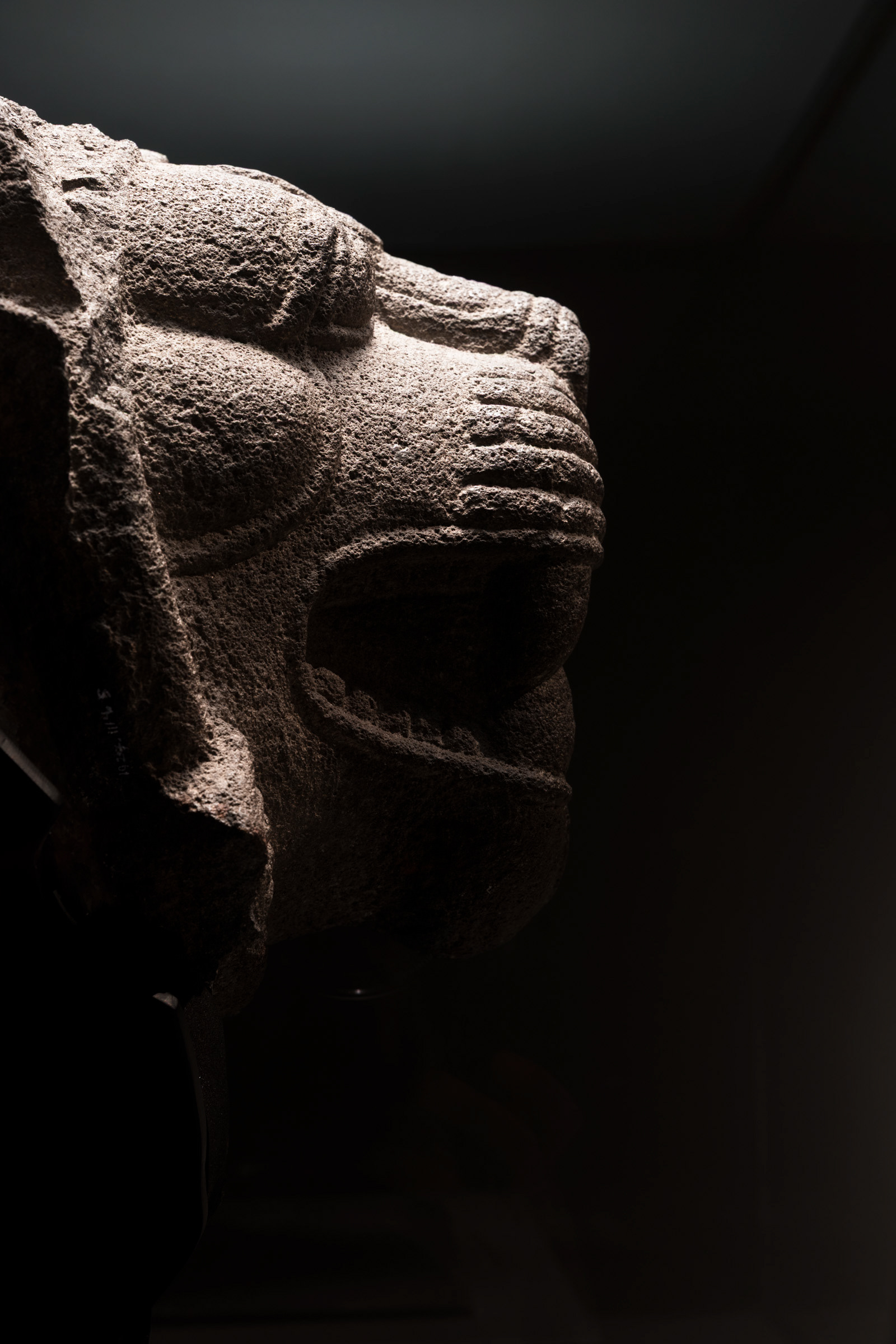 Grey basalt head of a roaring lion, 9th century BCE, Carchemish — from "Soy Asurbanipal, rey del mundo, rey de Asiria," CaixaForum Madrid, in collaboration with the British Museum.