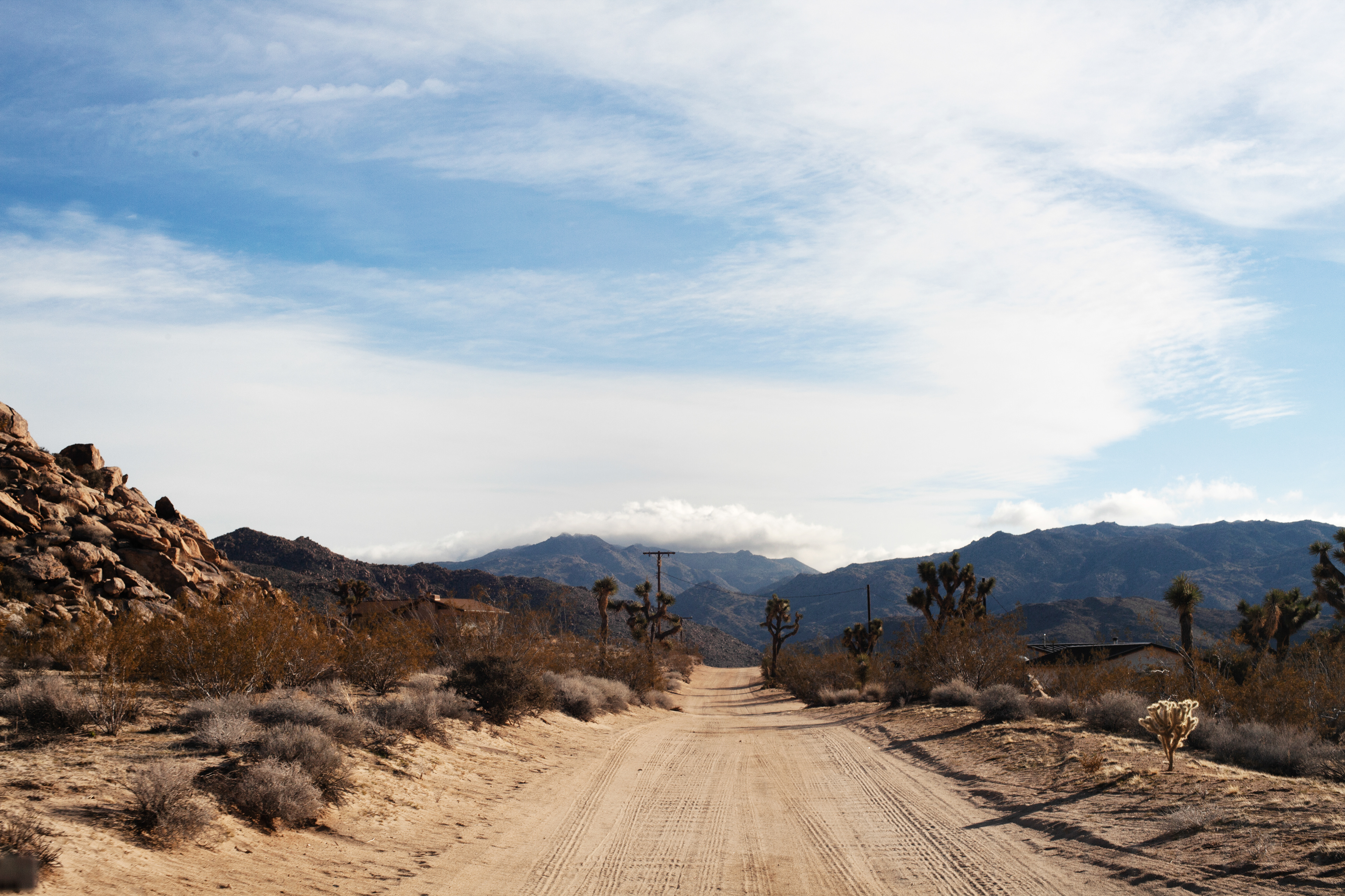 Mojave Desert 