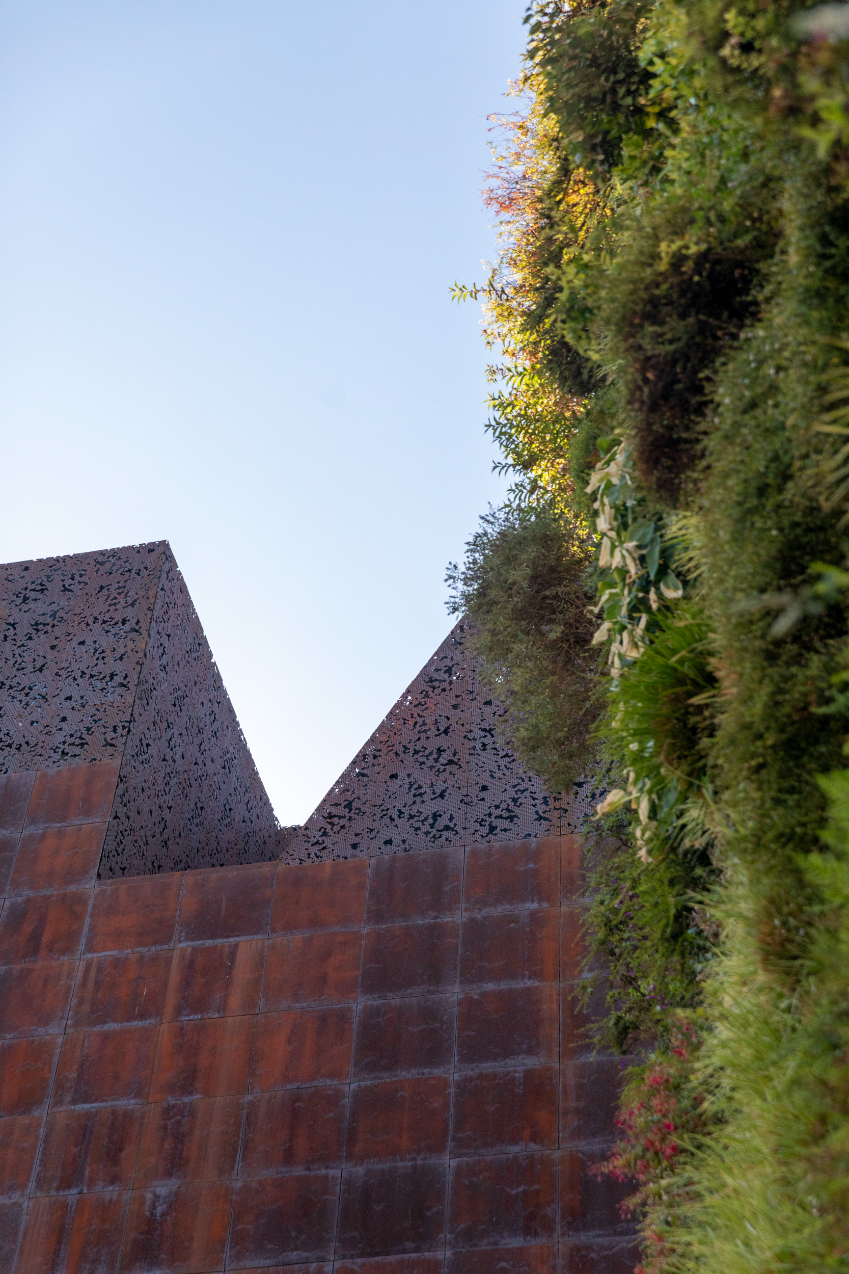 The crown's two roof volumes against the sky, beside the top of the vertical garden.