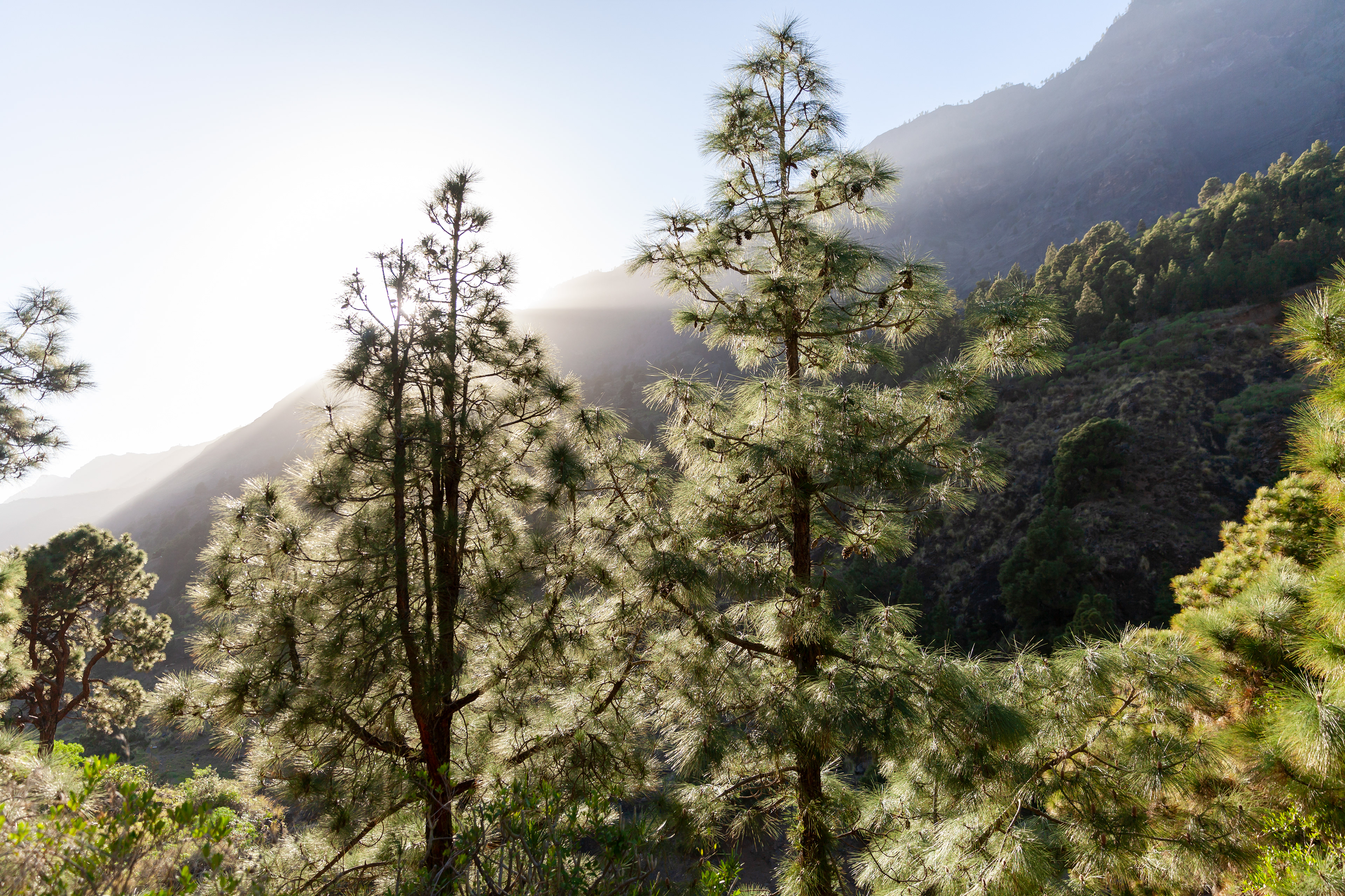 La Palma, Spain