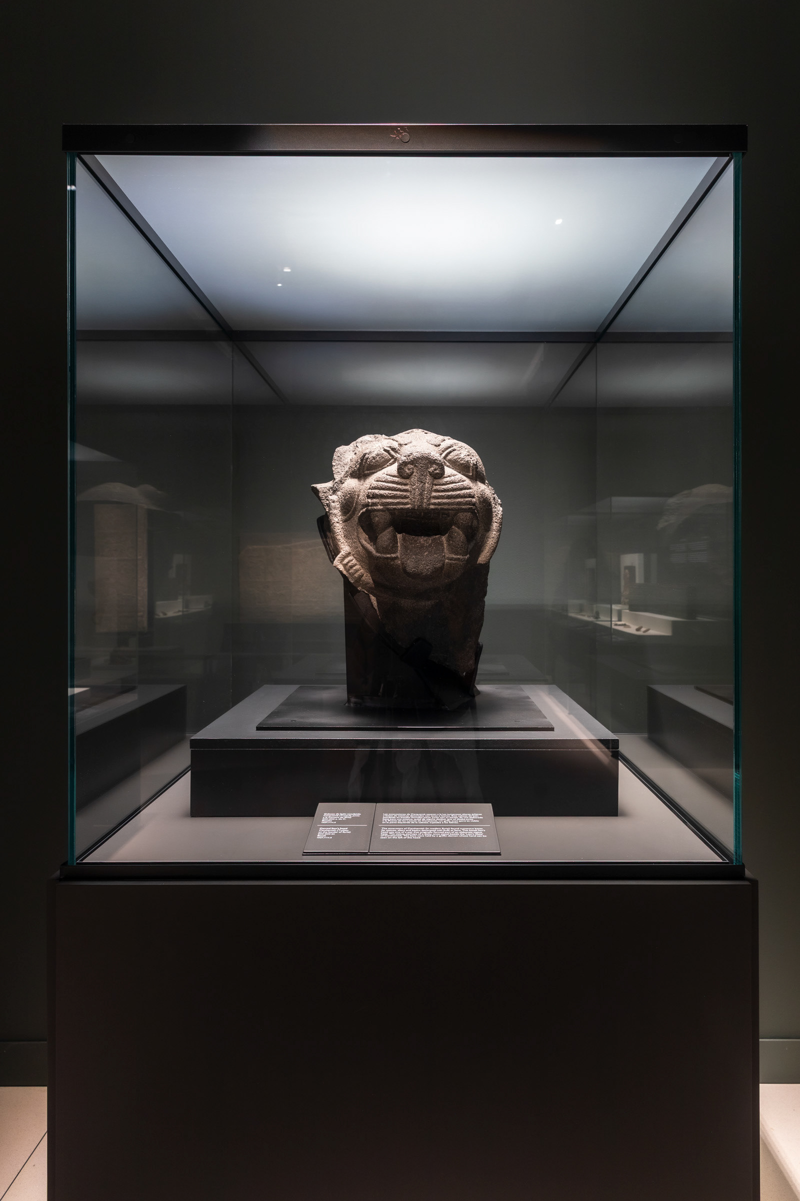 Grey basalt head of a roaring lion, 9th century BCE, Carchemish — from "Soy Asurbanipal, rey del mundo, rey de Asiria," CaixaForum Madrid, in collaboration with the British Museum.