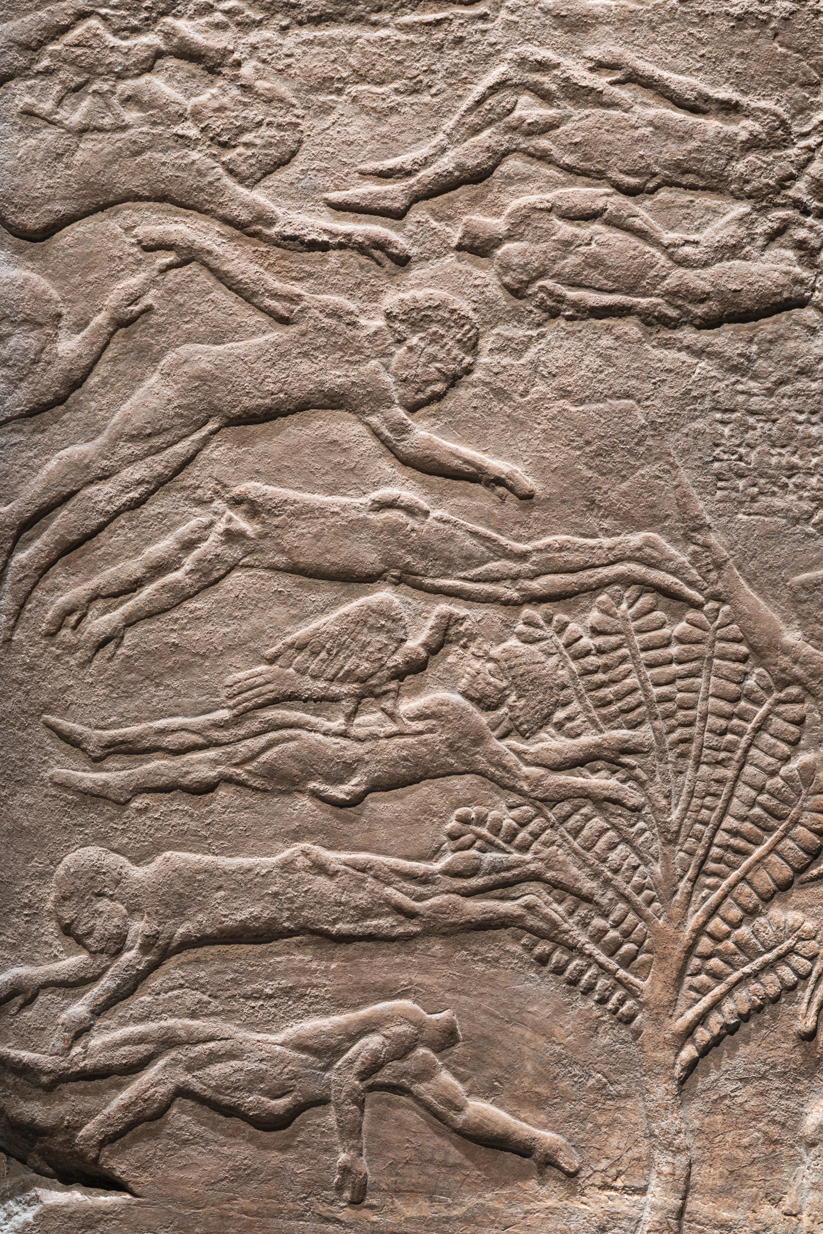 Detail of the Battle of Til-Tuba relief (c. 660–650 BC) featured in the "Soy Asurbanipal" exhibition at CaixaForum Madrid, on loan from the British Museum.