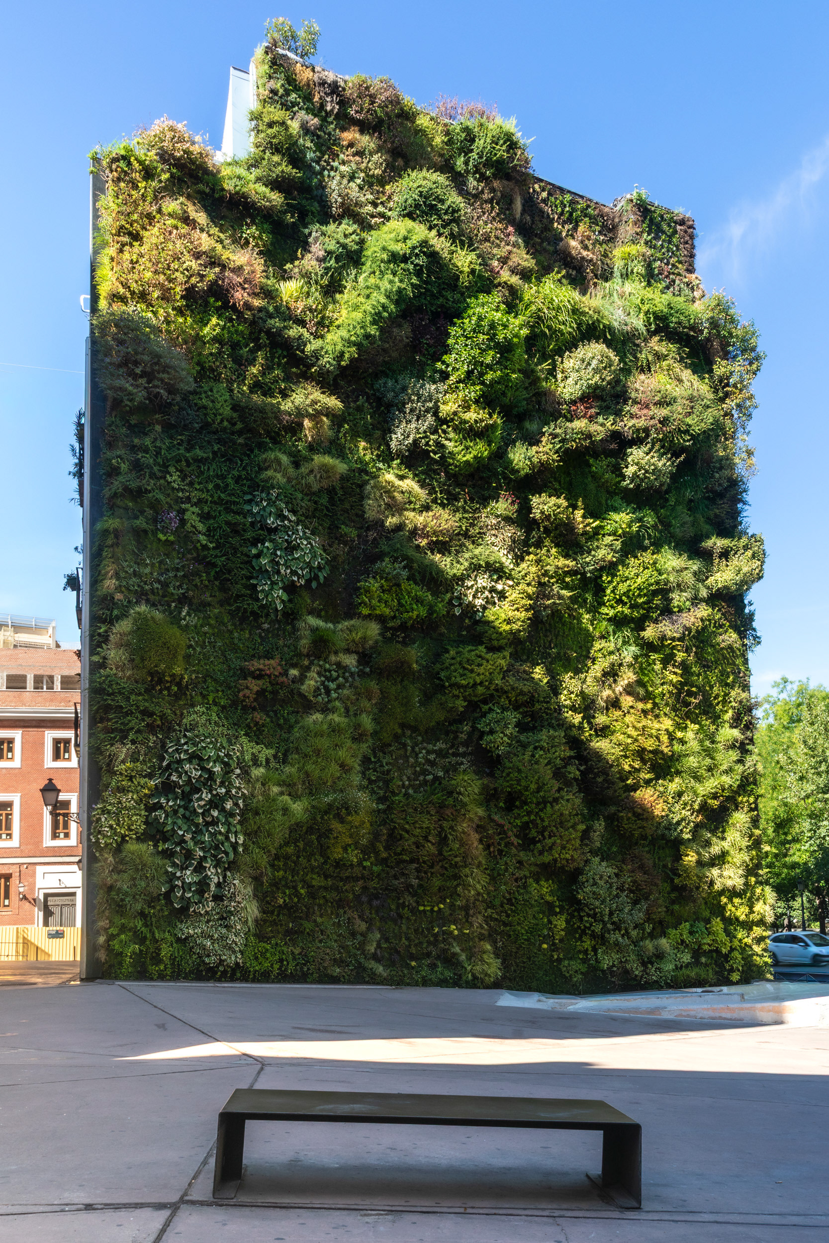 Patrick Blanc's vertical garden on the neighbouring building: about 24 metres tall and 460 square metres, planted with roughly 250 species, added in 2007.