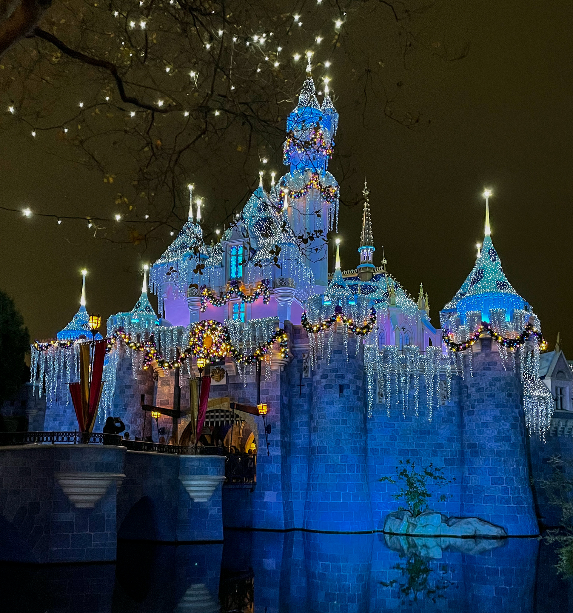 Sleeping Beauty's Castle