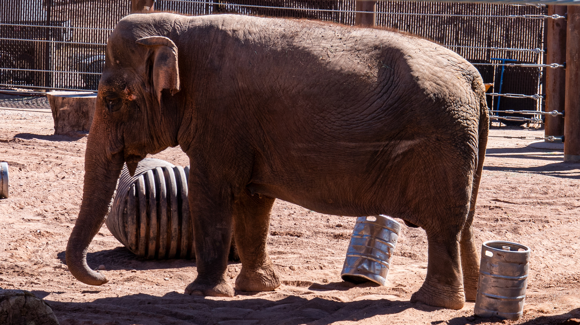 Phoenix Zoo in Phoenix, Arizona