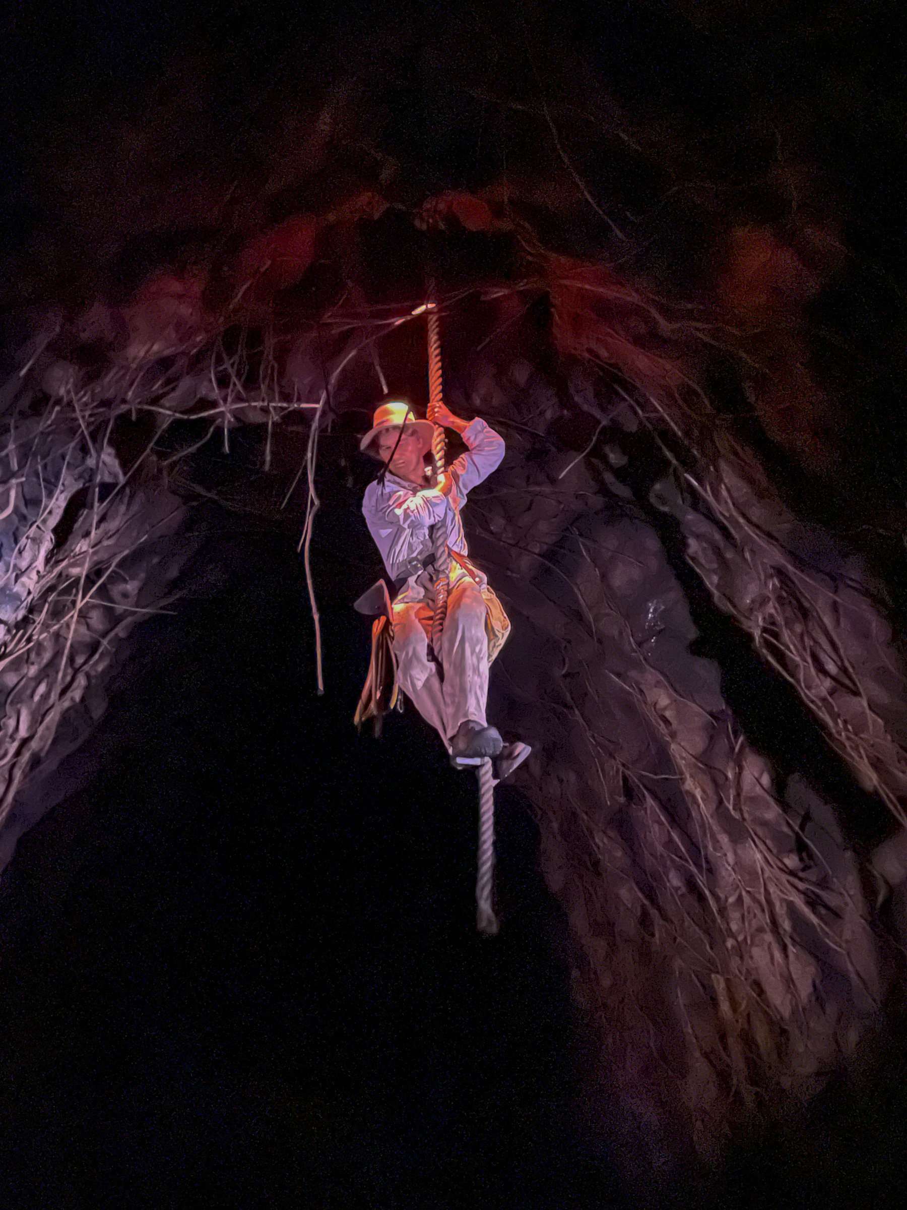 Indiana Jones Adventure