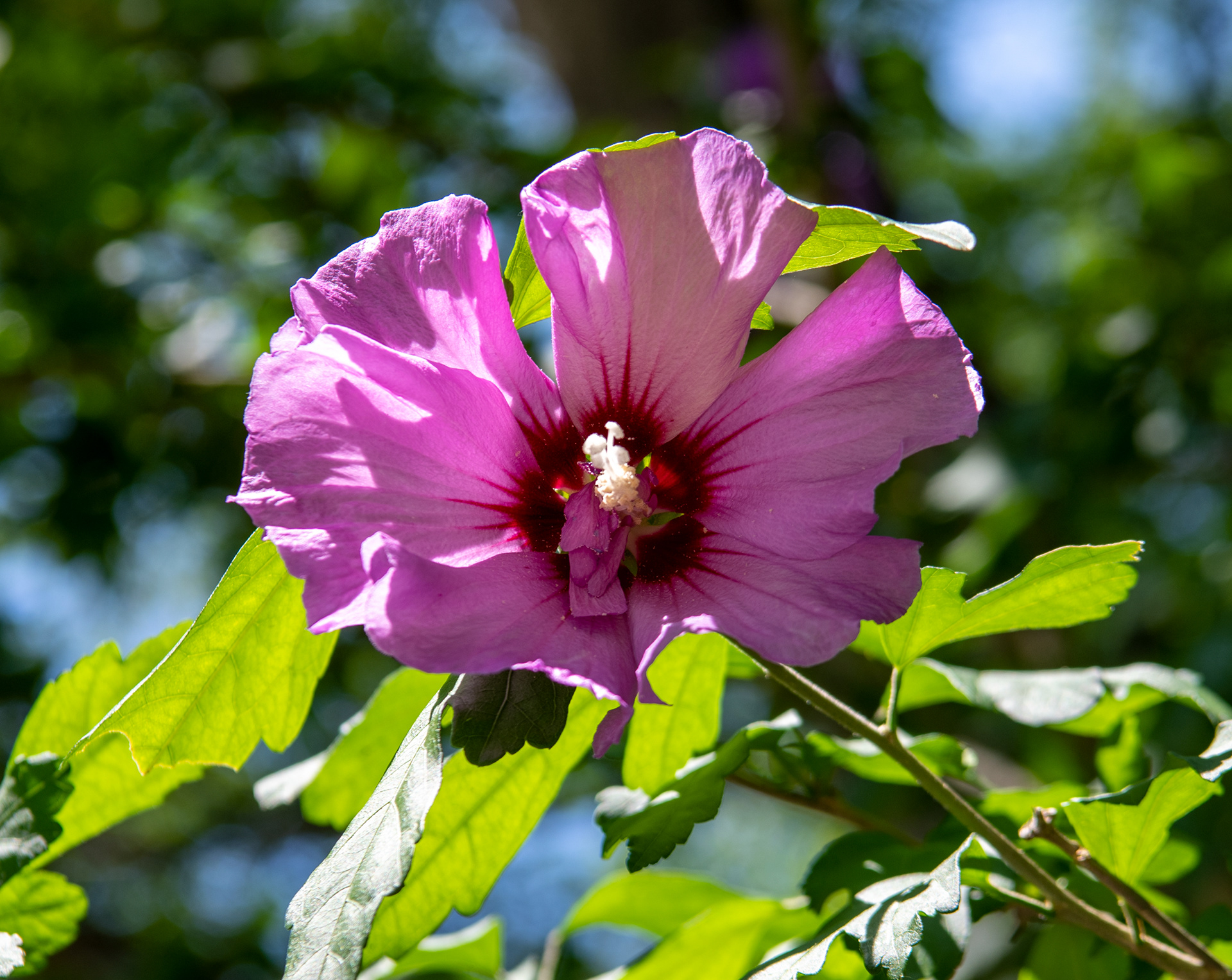Erie Zoo in Erie, Pennsylvania