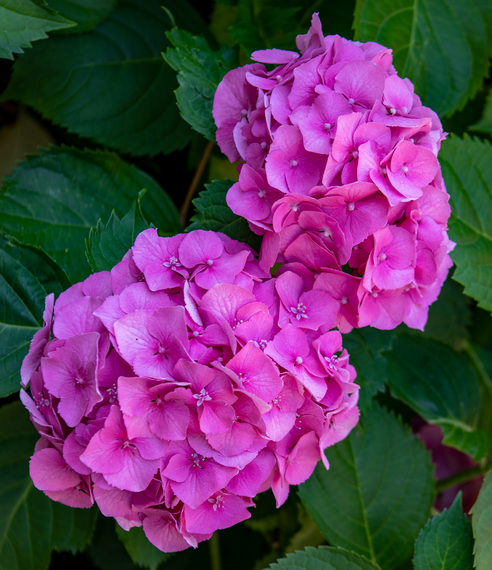 Erie Zoo in Erie, Pennsylvania