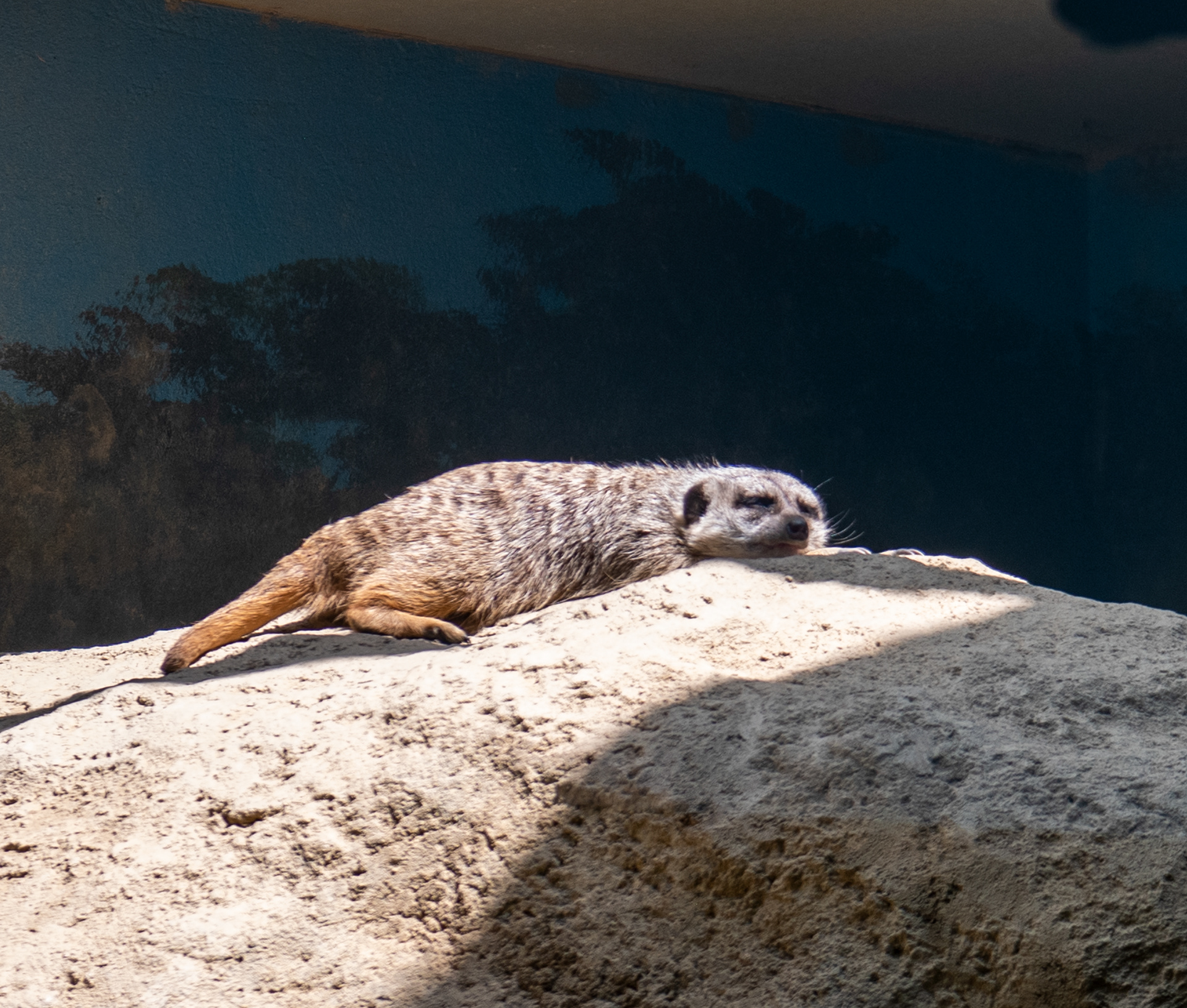 Erie Zoo in Erie, Pennsylvania