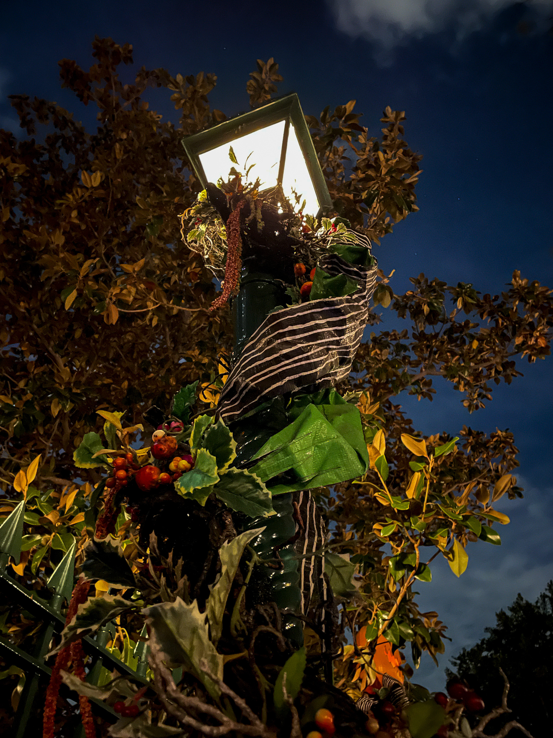 Haunted Mansion Holiday